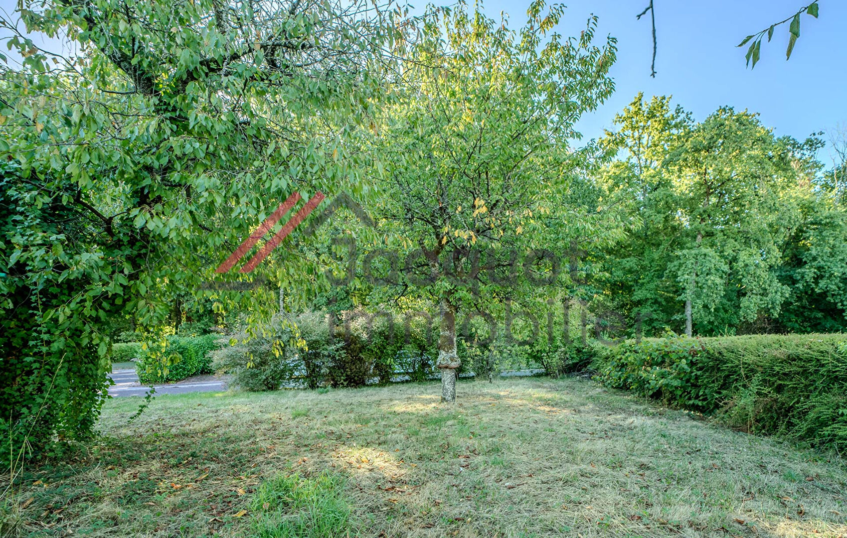 Photo 10 — JACQUOT Immobilier