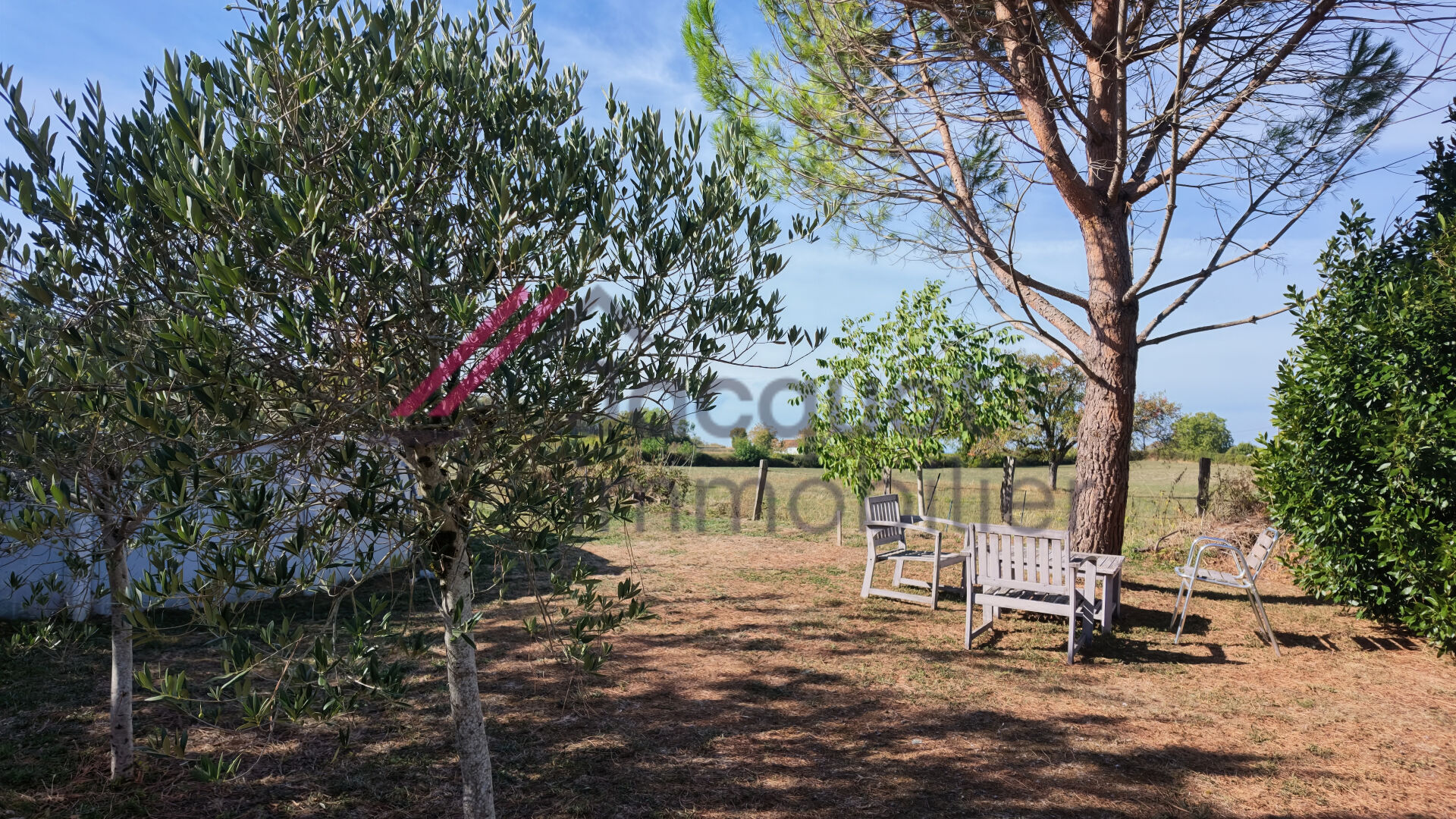 Photo 9 — JACQUOT Immobilier