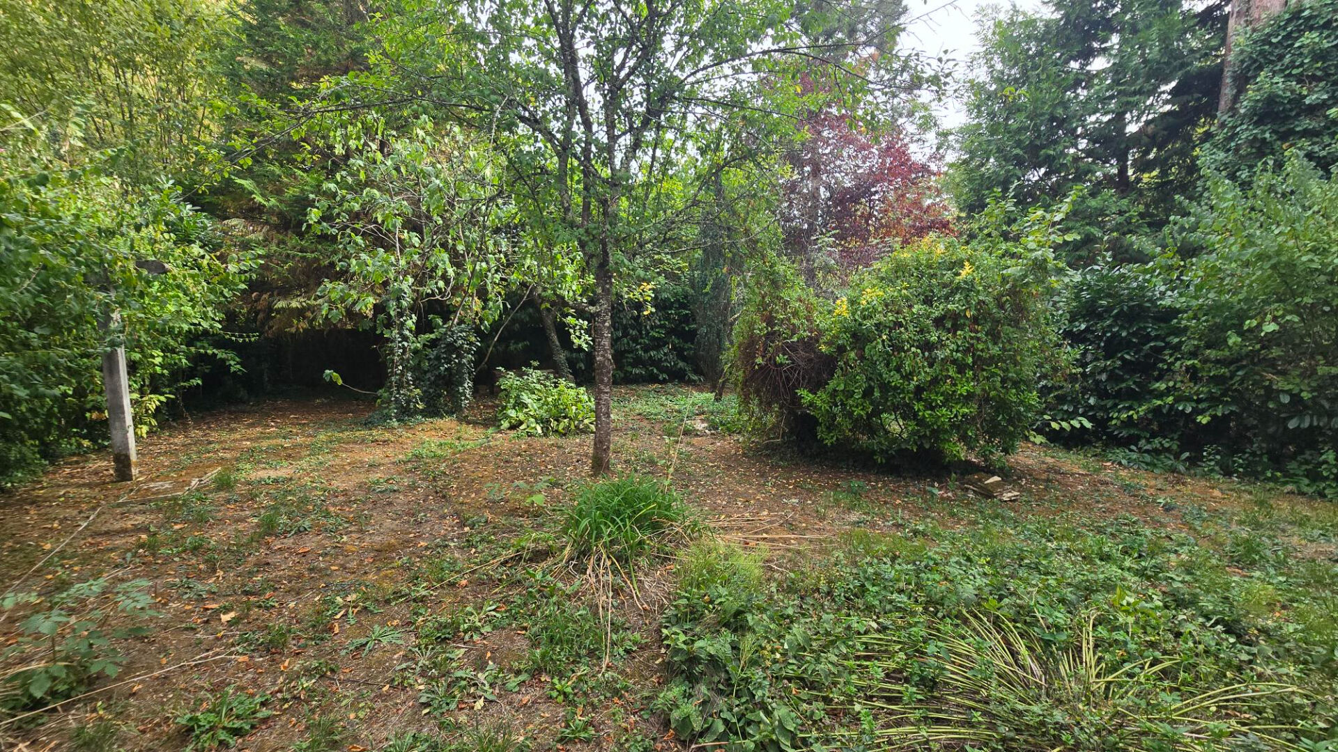 Photo 17 — JACQUOT Immobilier