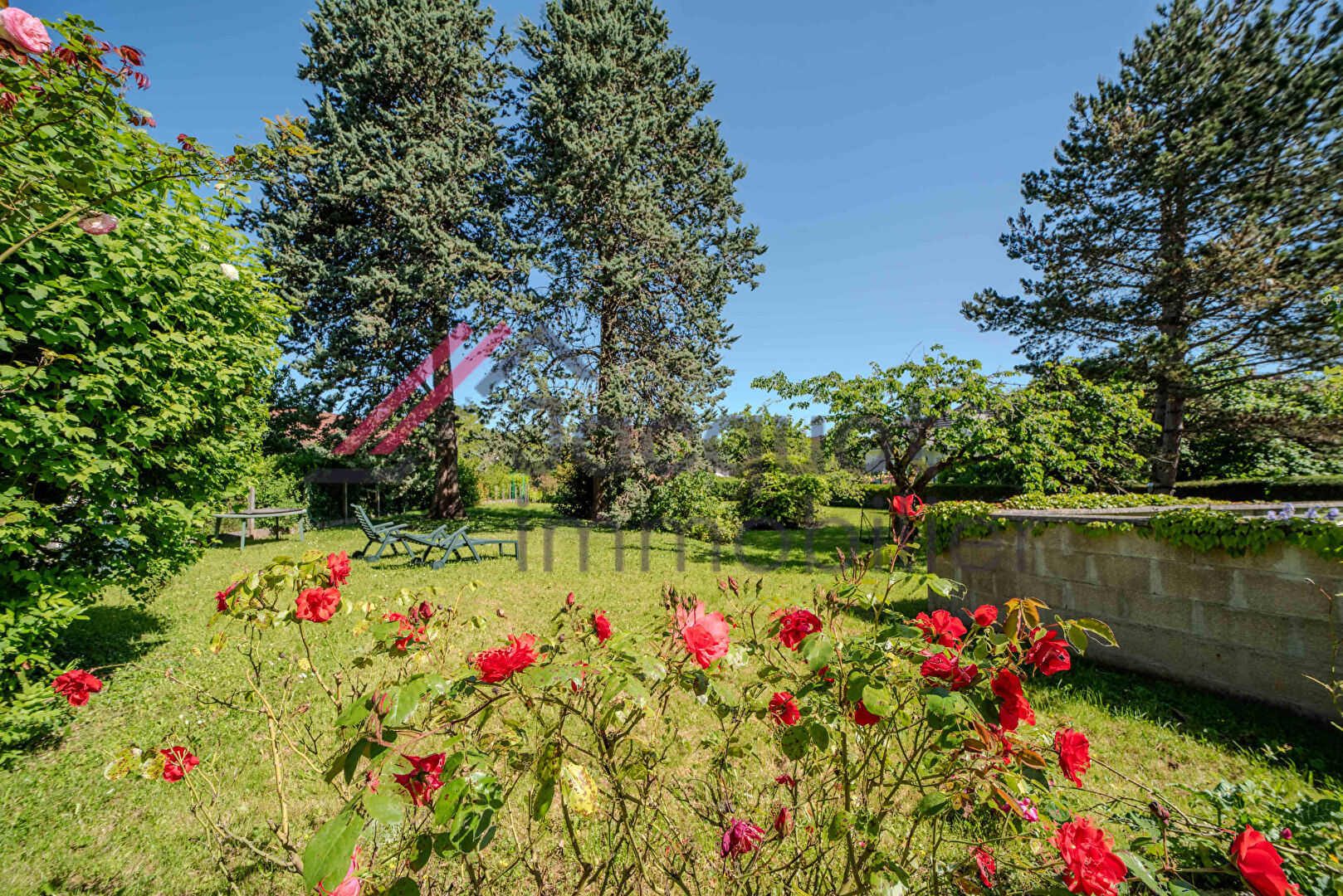 Photo 4 — JACQUOT Immobilier