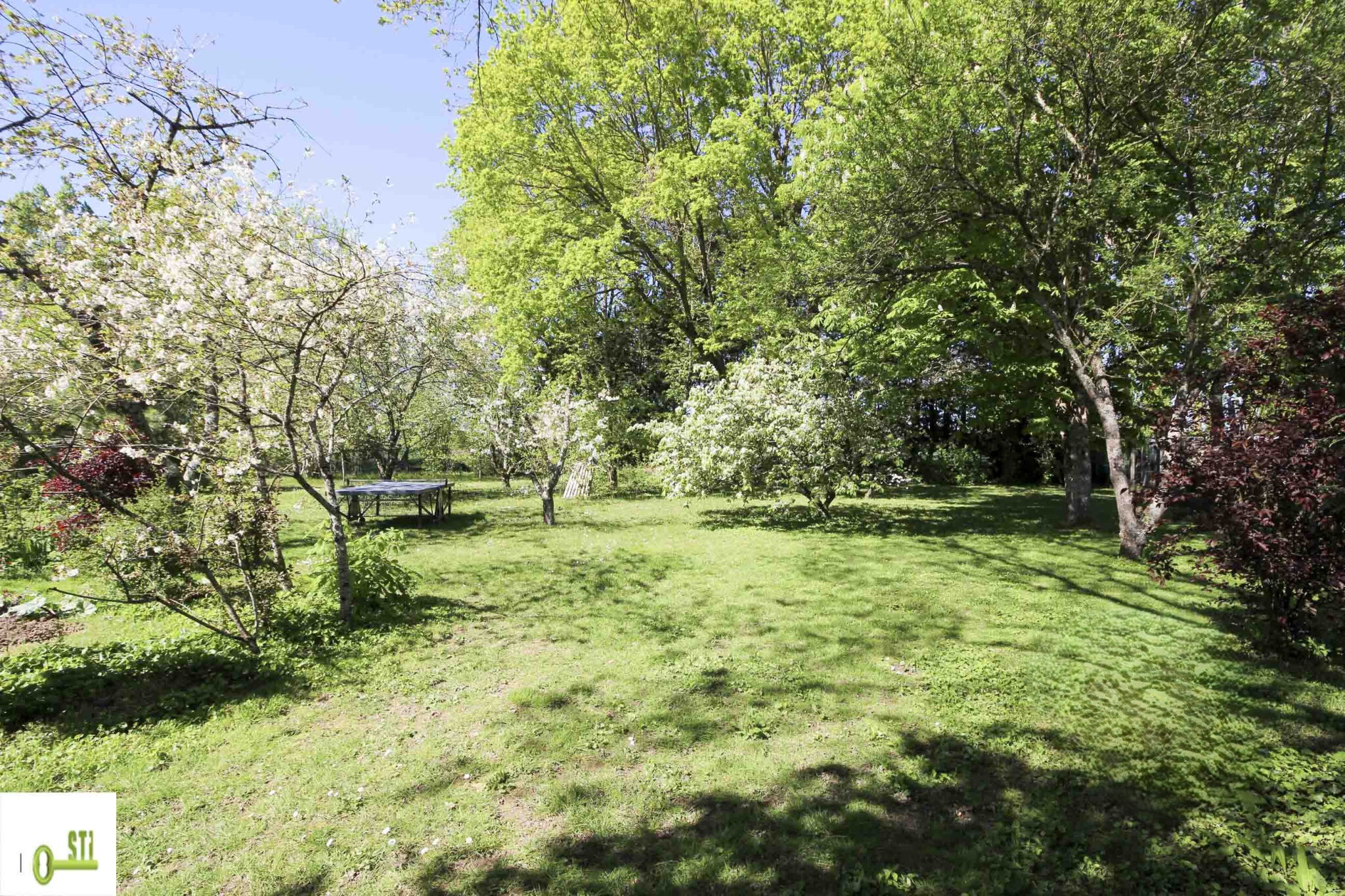 Photo 3 — ST Immobilier