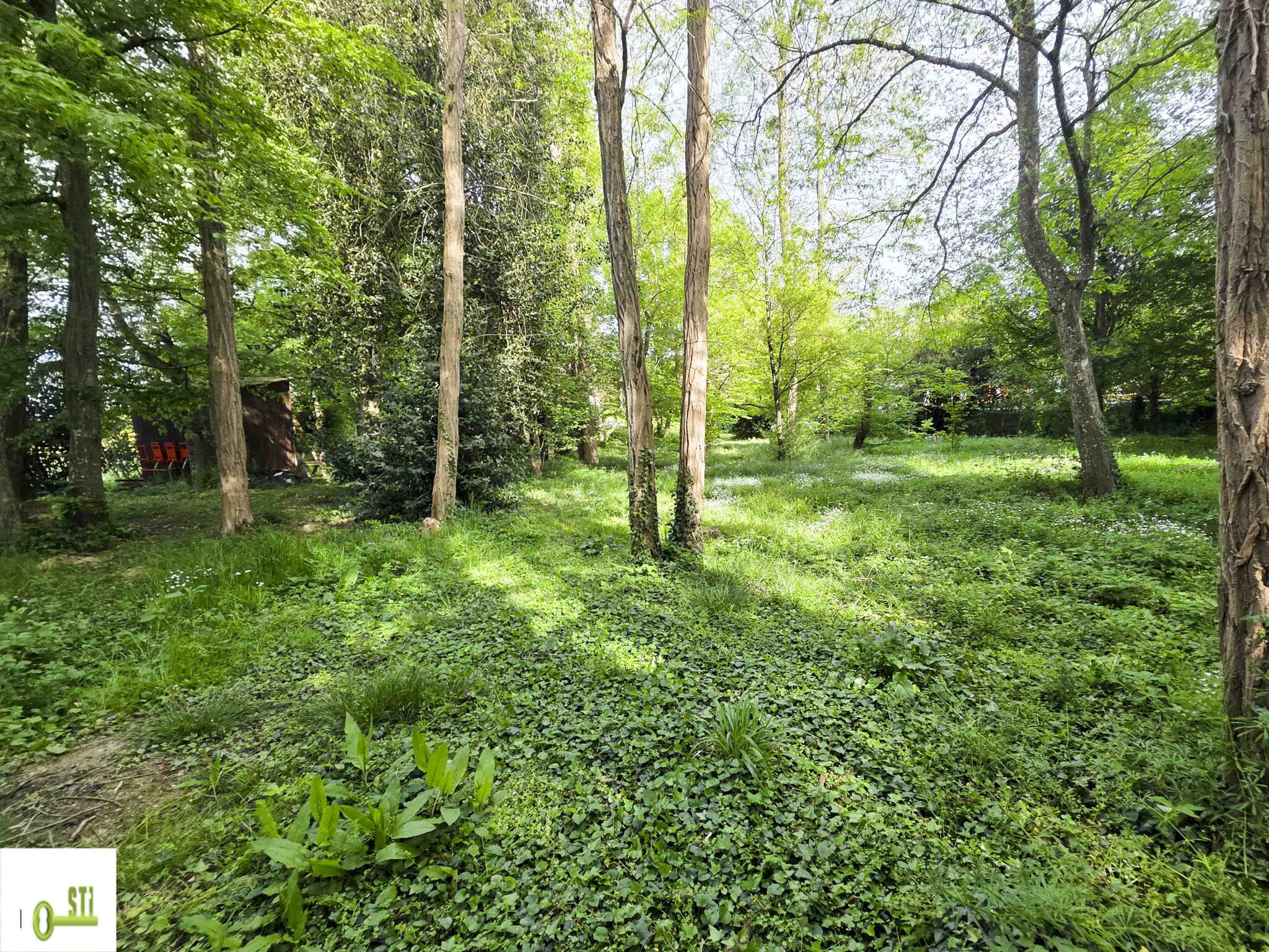 Photo 2 — ST Immobilier