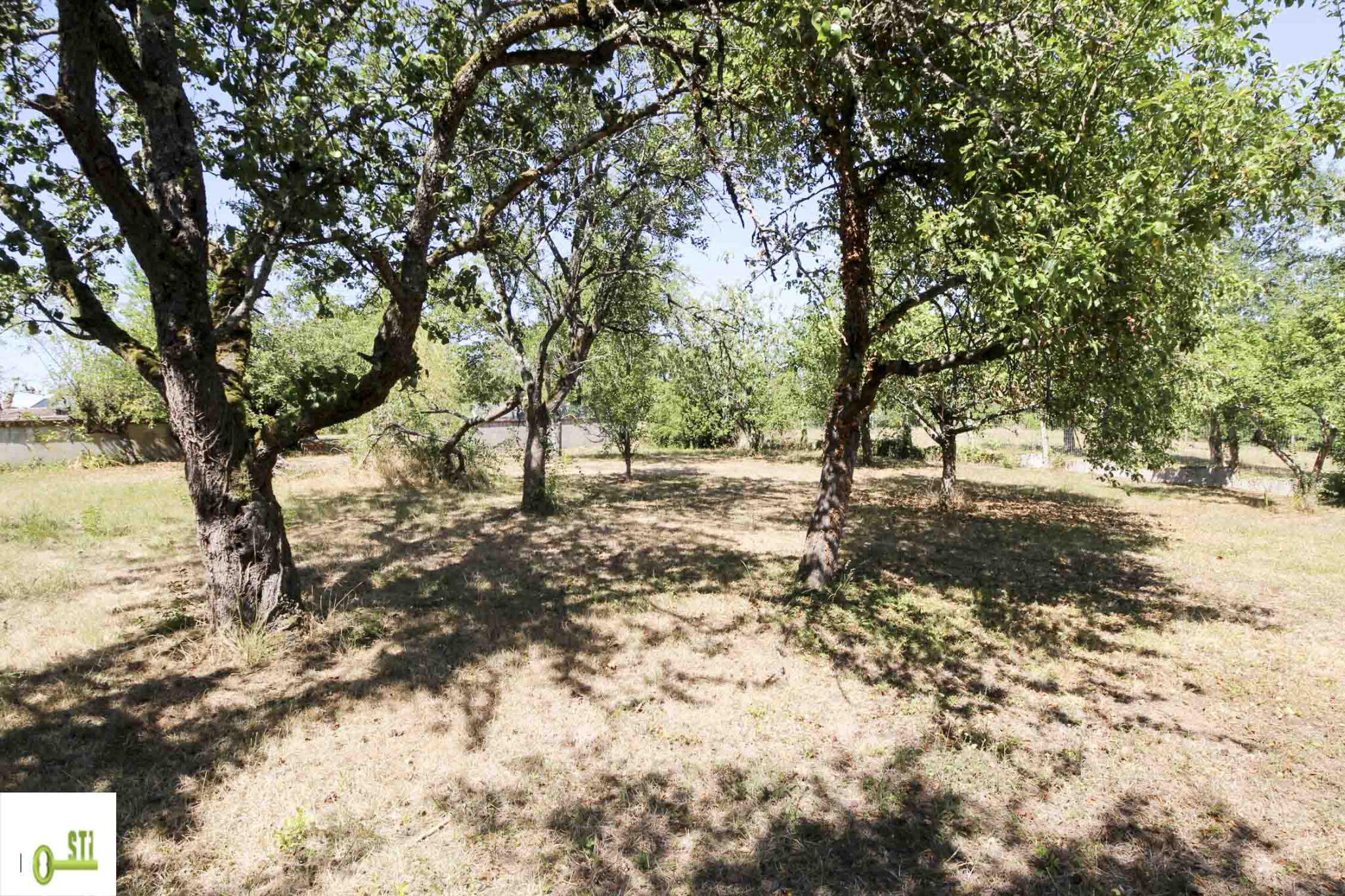 Photo 2 — ST Immobilier