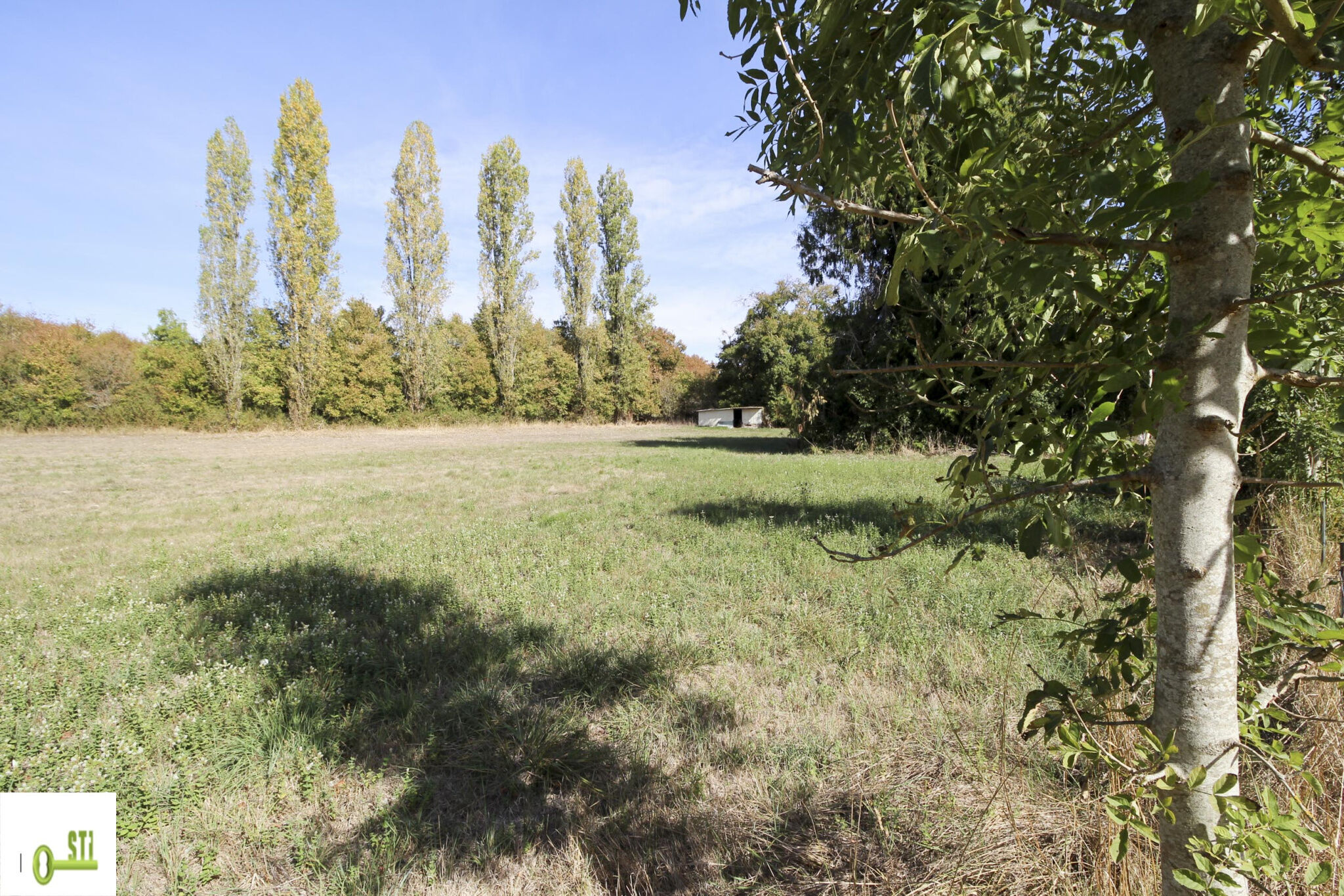 Photo 5 — ST Immobilier