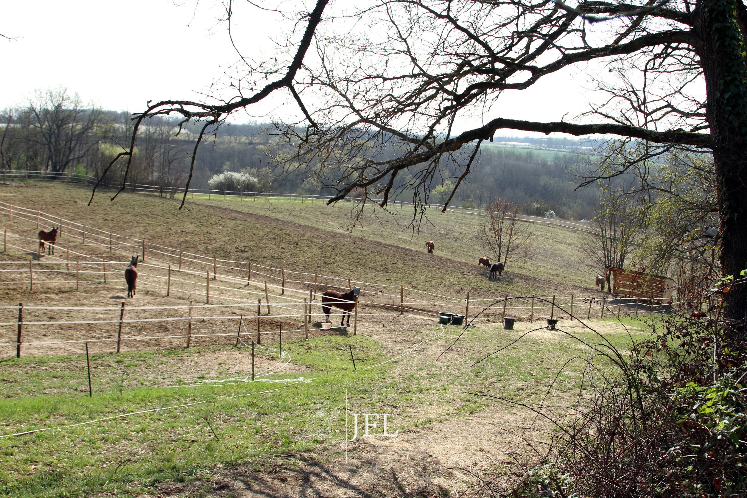 Photo 6 — JF LEGENDRE IMMOBILIER