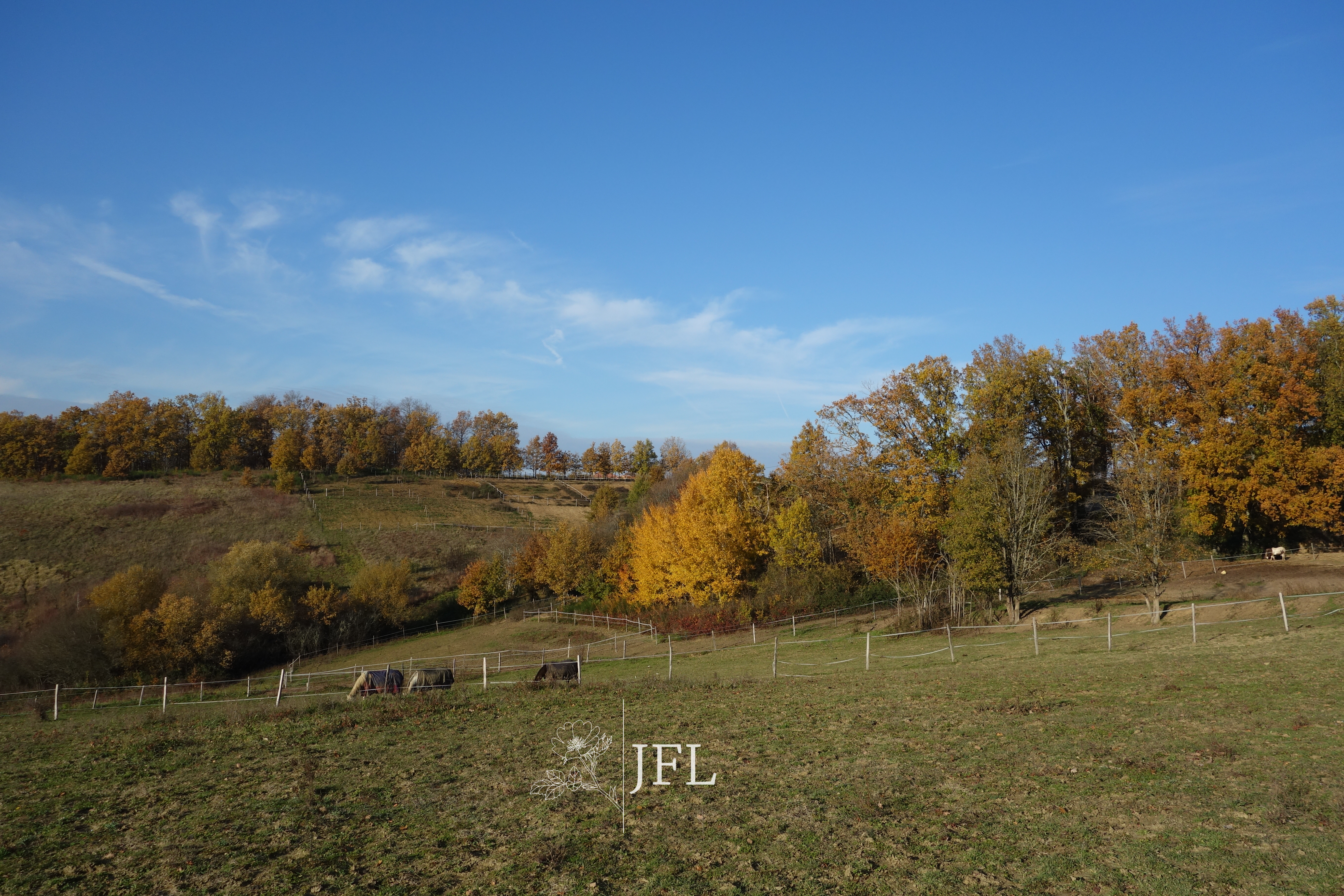 Photo 3 — JF LEGENDRE IMMOBILIER