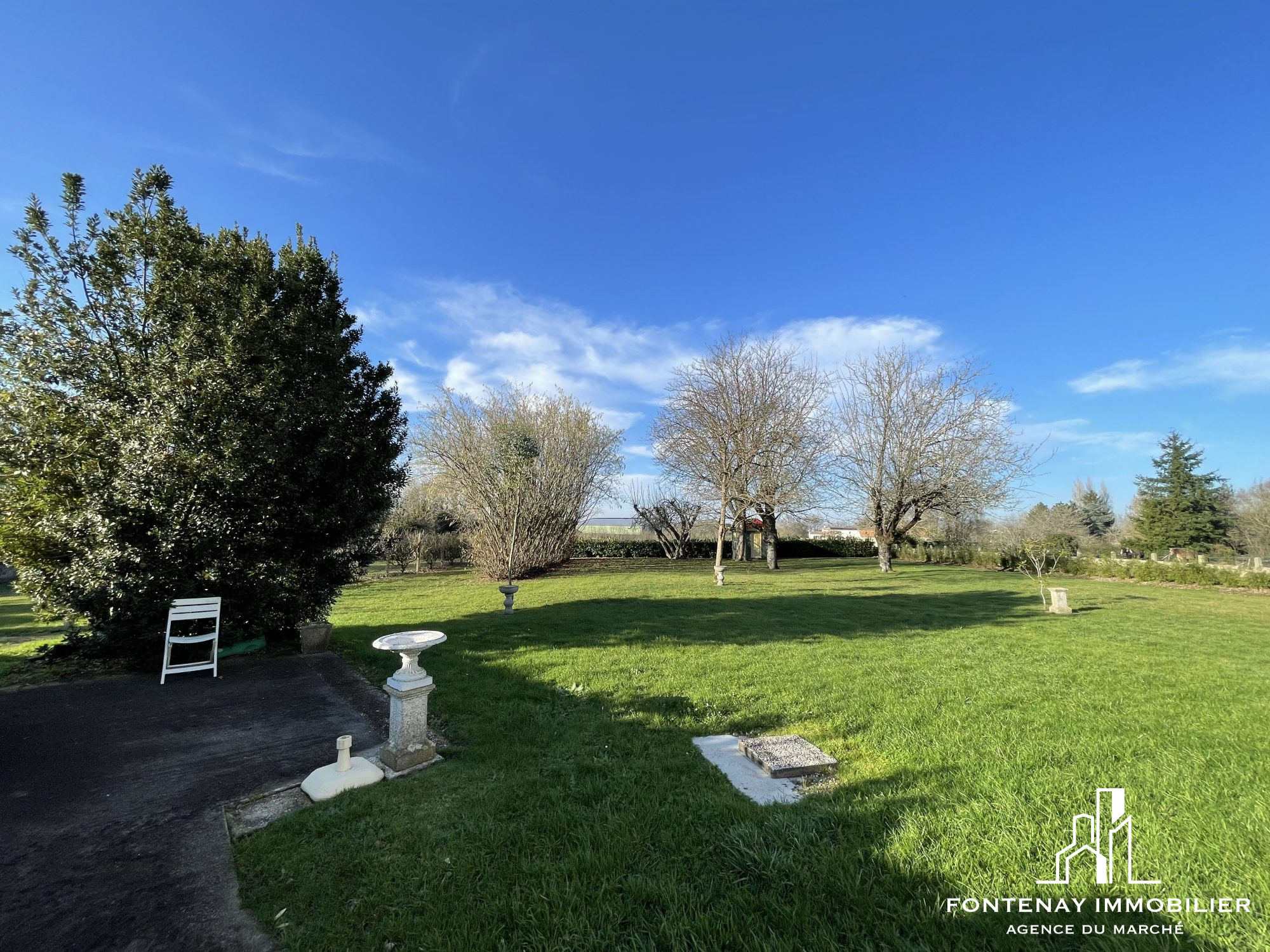 Photo 2 — FONTENAY IMMOBILIER