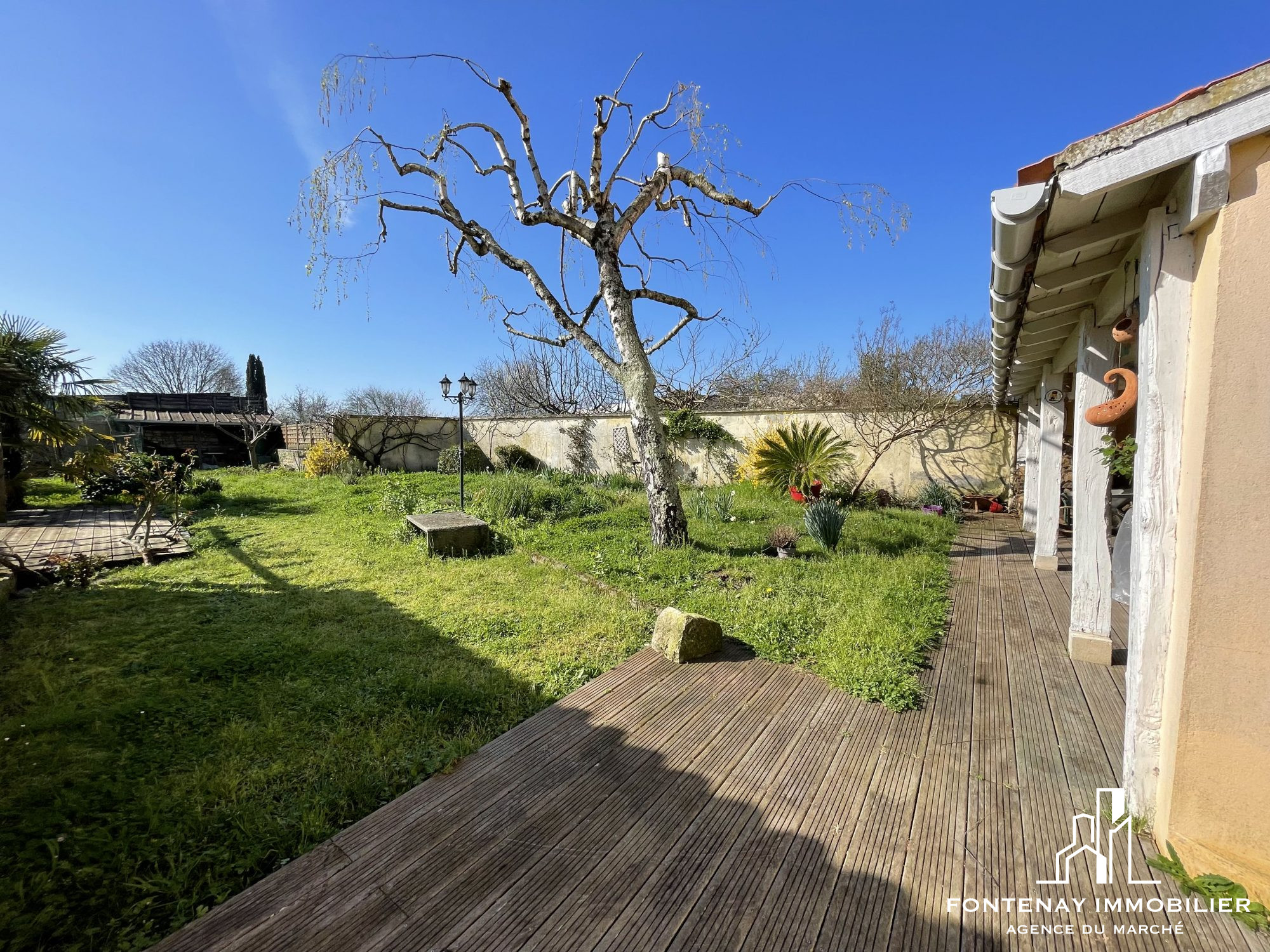 Photo 4 — FONTENAY IMMOBILIER