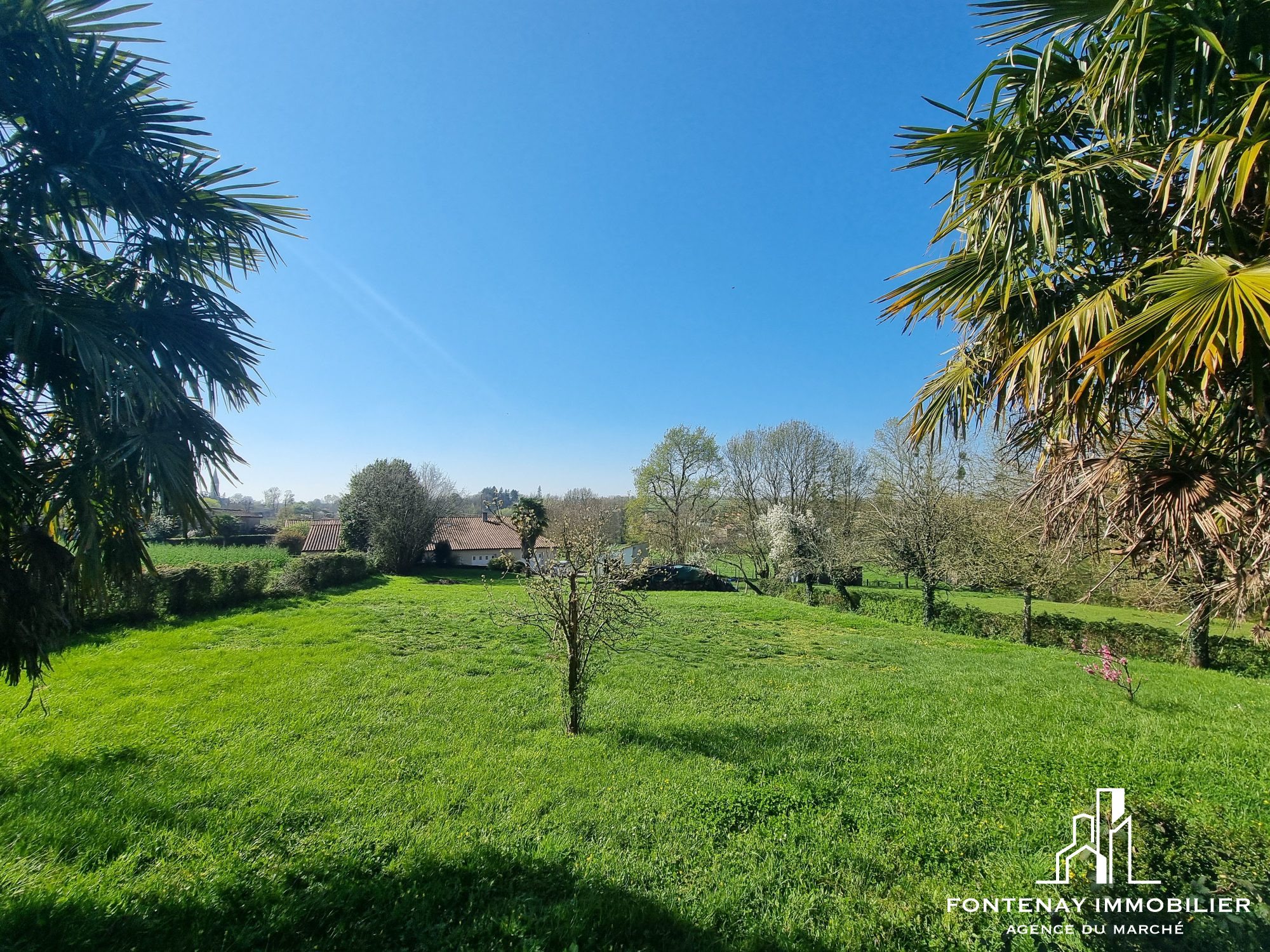 Photo 3 — FONTENAY IMMOBILIER