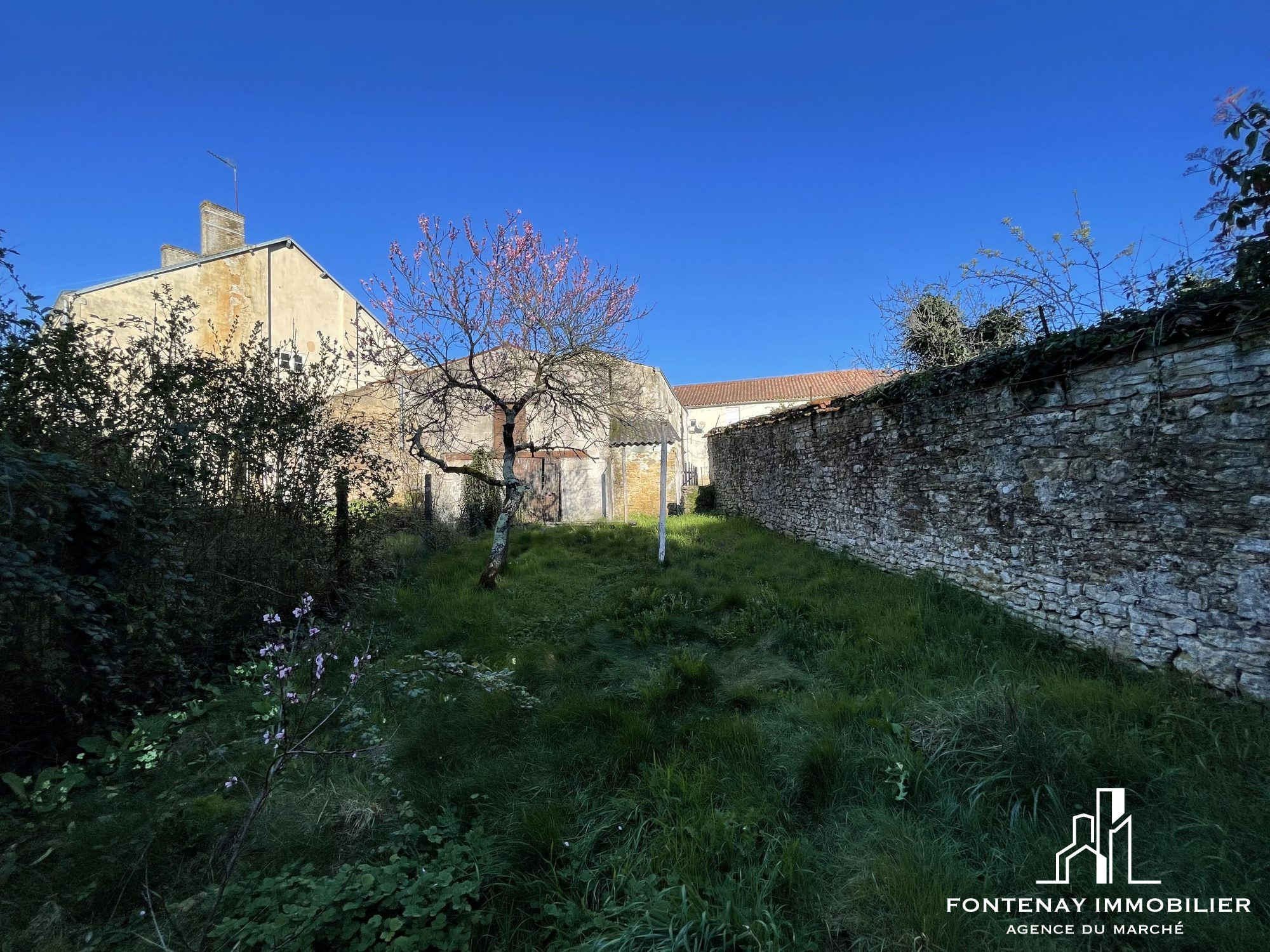 Photo 2 — FONTENAY IMMOBILIER