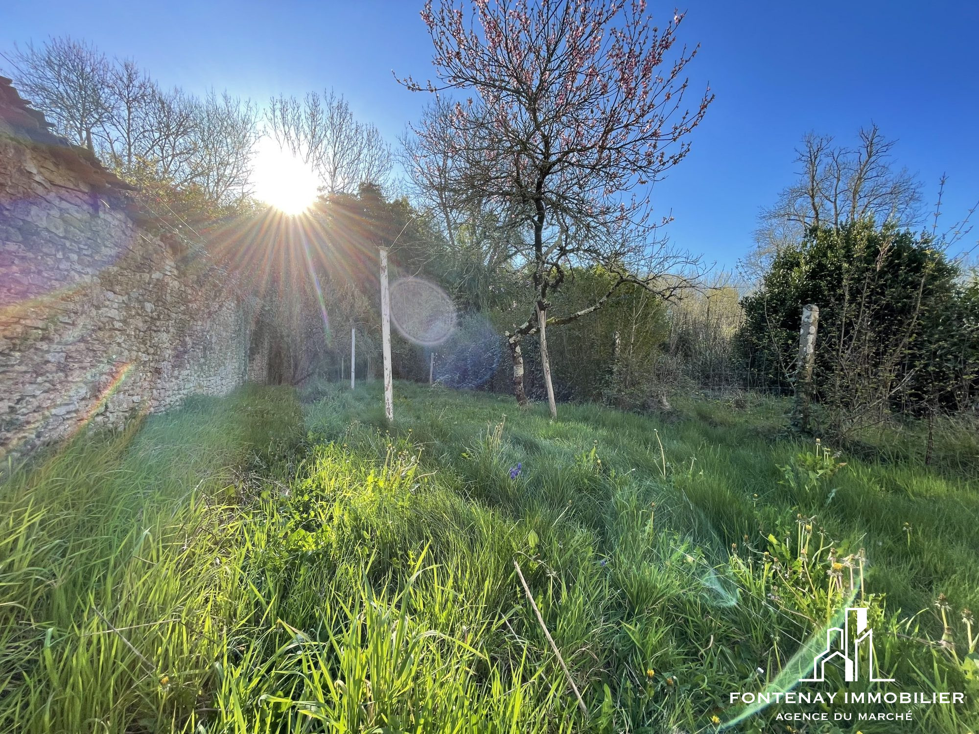 Photo 10 — FONTENAY IMMOBILIER