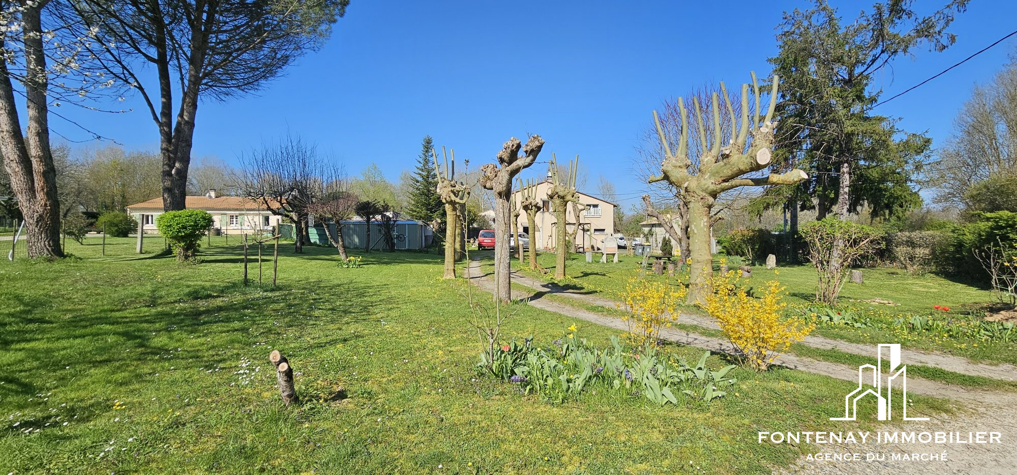 Photo 12 — FONTENAY IMMOBILIER