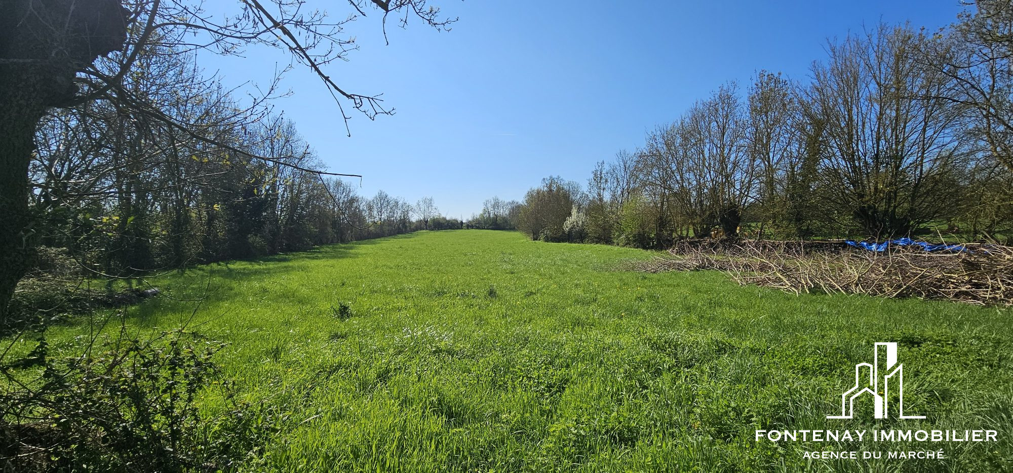 Photo 3 — FONTENAY IMMOBILIER