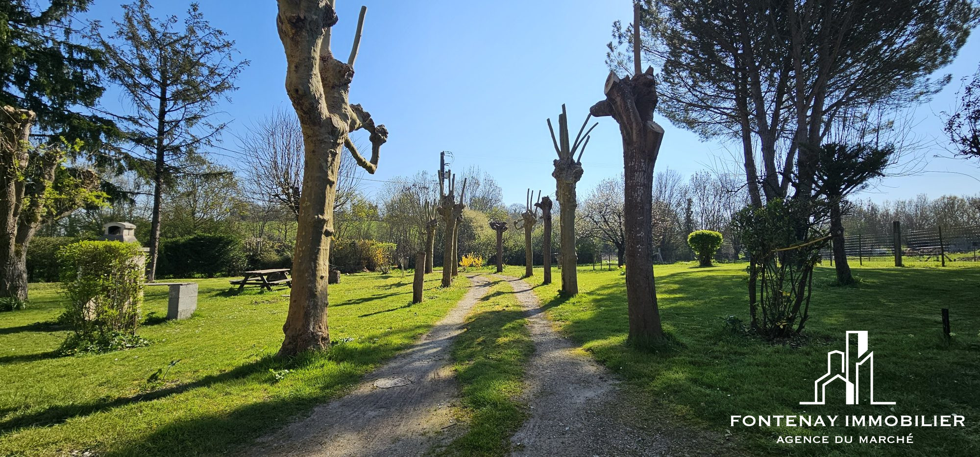 Photo 14 — FONTENAY IMMOBILIER