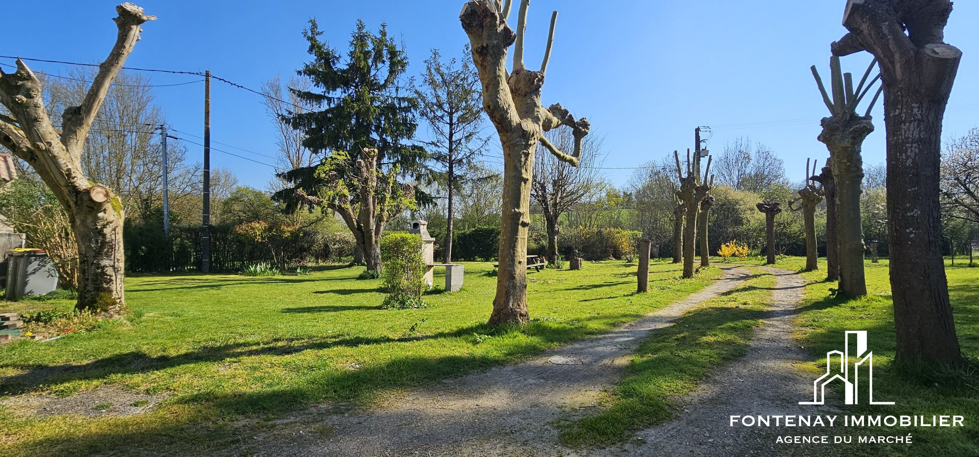 Photo 11 — FONTENAY IMMOBILIER