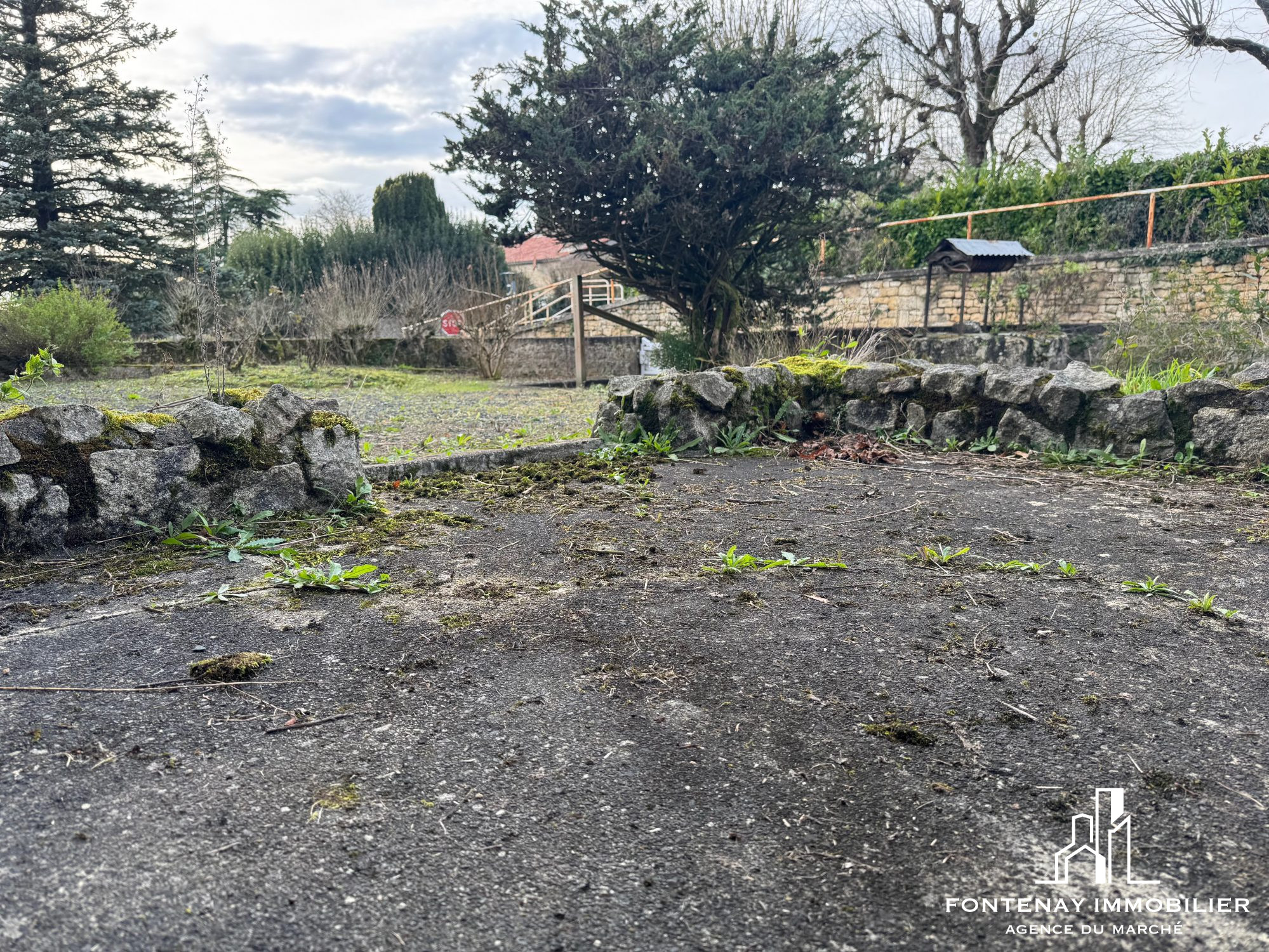 Photo 2 — FONTENAY IMMOBILIER