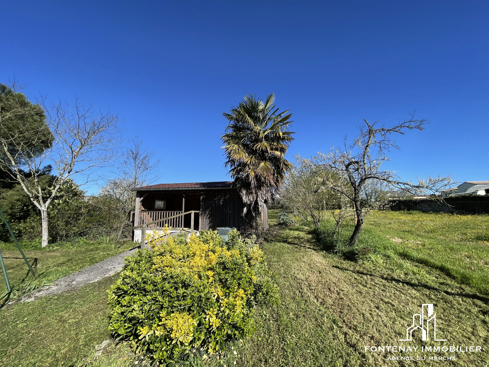 Photo 2 — FONTENAY IMMOBILIER