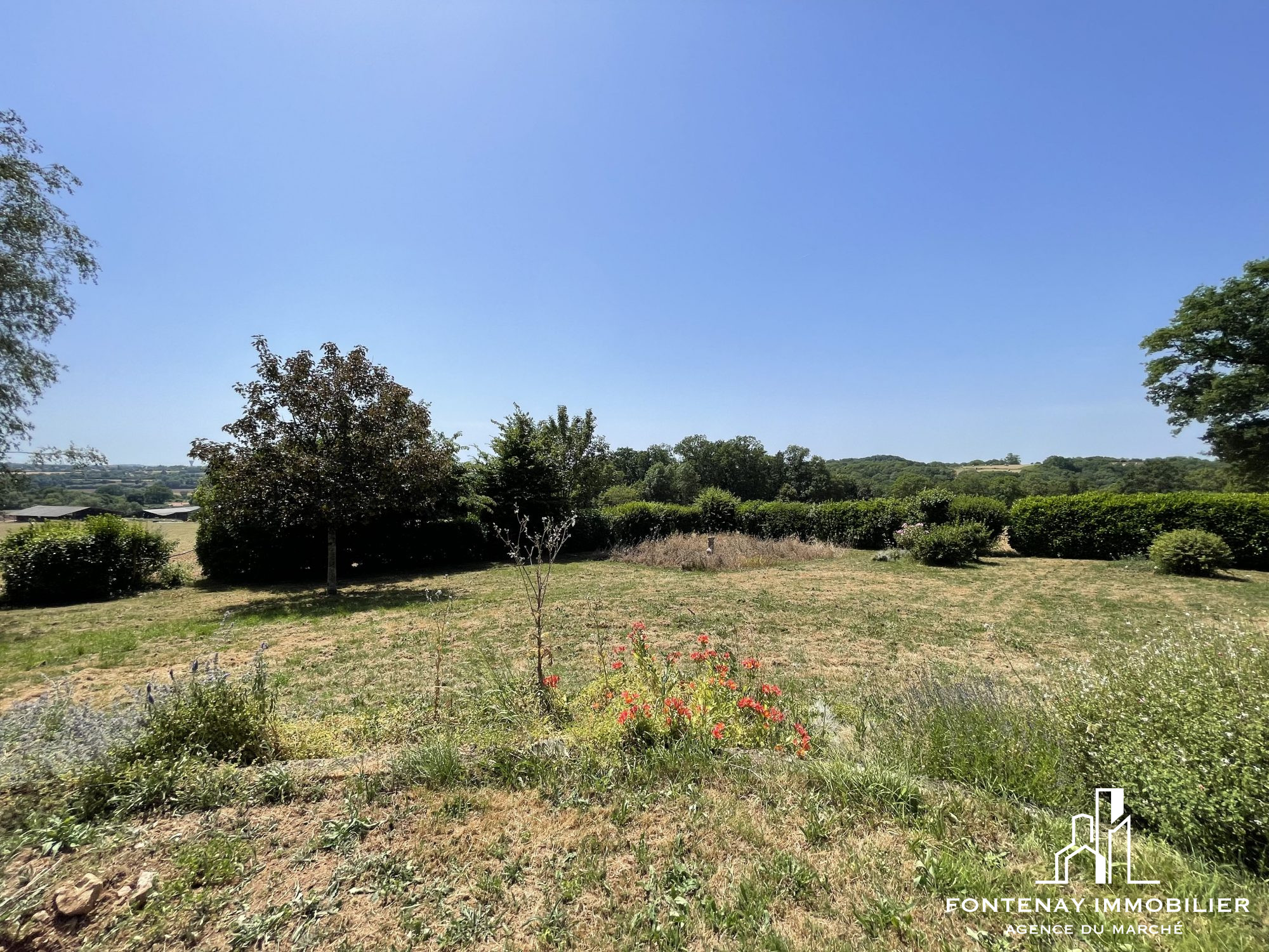 Photo 11 — FONTENAY IMMOBILIER