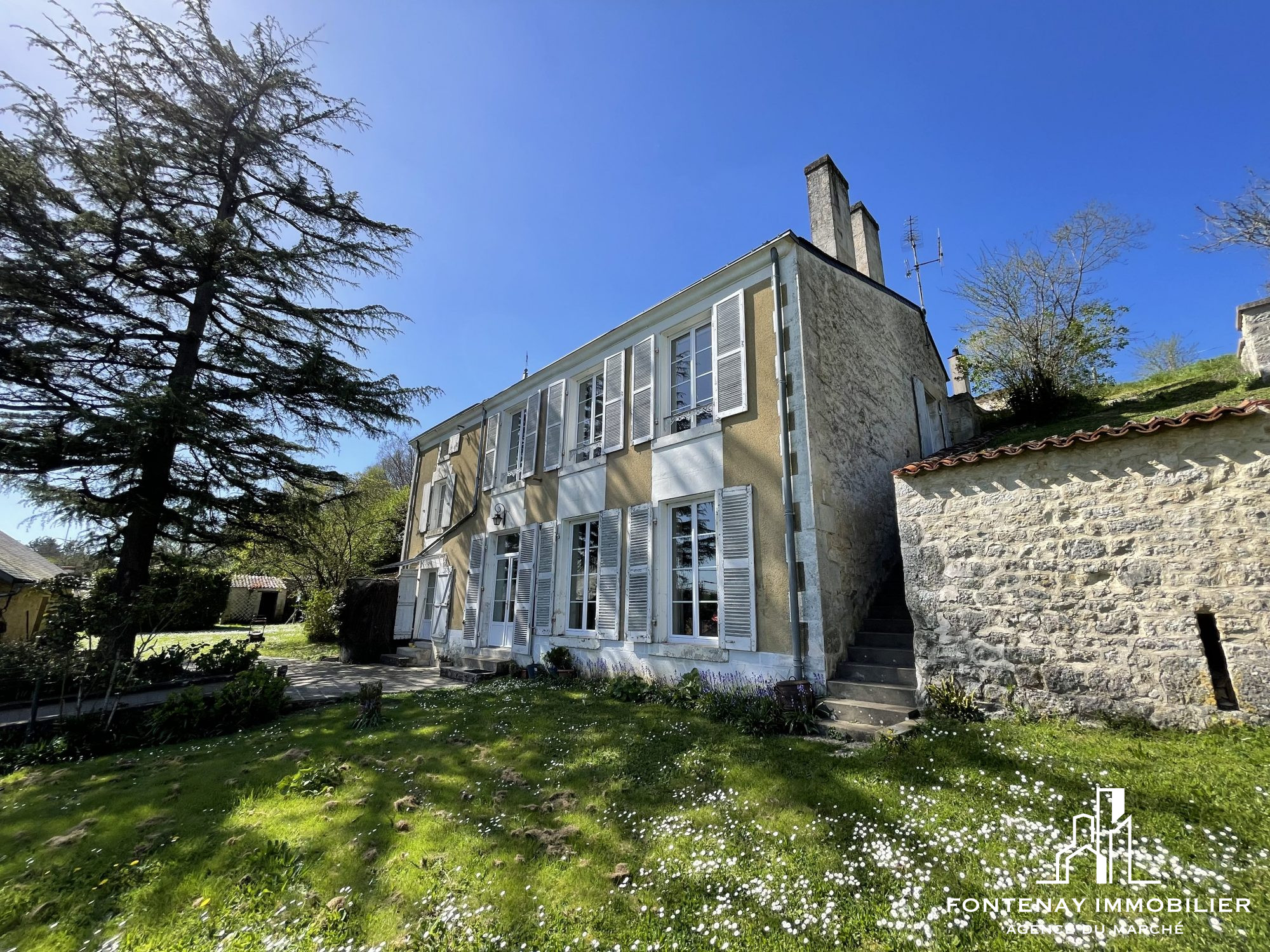 Photo 11 — FONTENAY IMMOBILIER