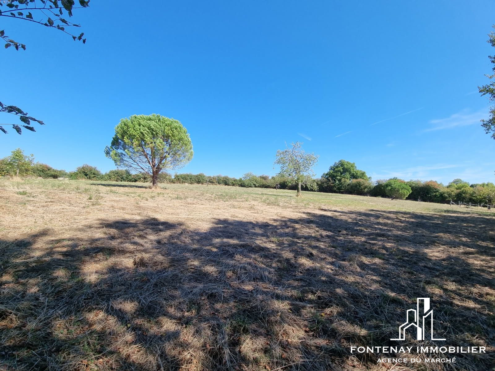 Photo 12 — FONTENAY IMMOBILIER