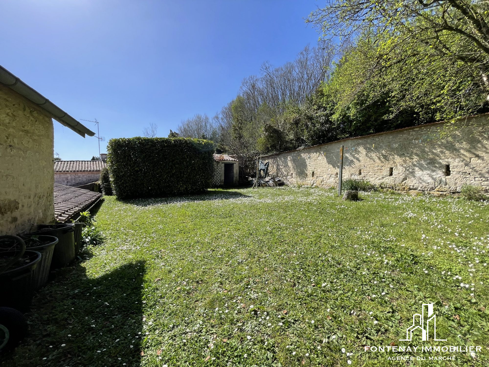 Photo 2 — FONTENAY IMMOBILIER