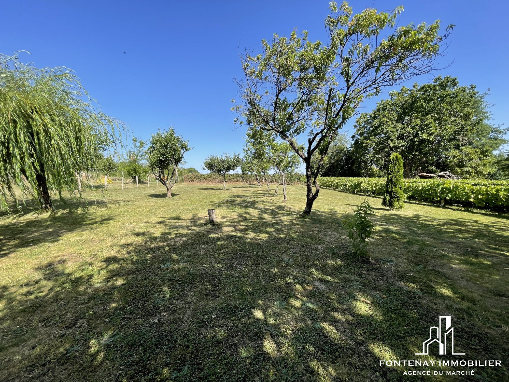 Photo 15 — FONTENAY IMMOBILIER