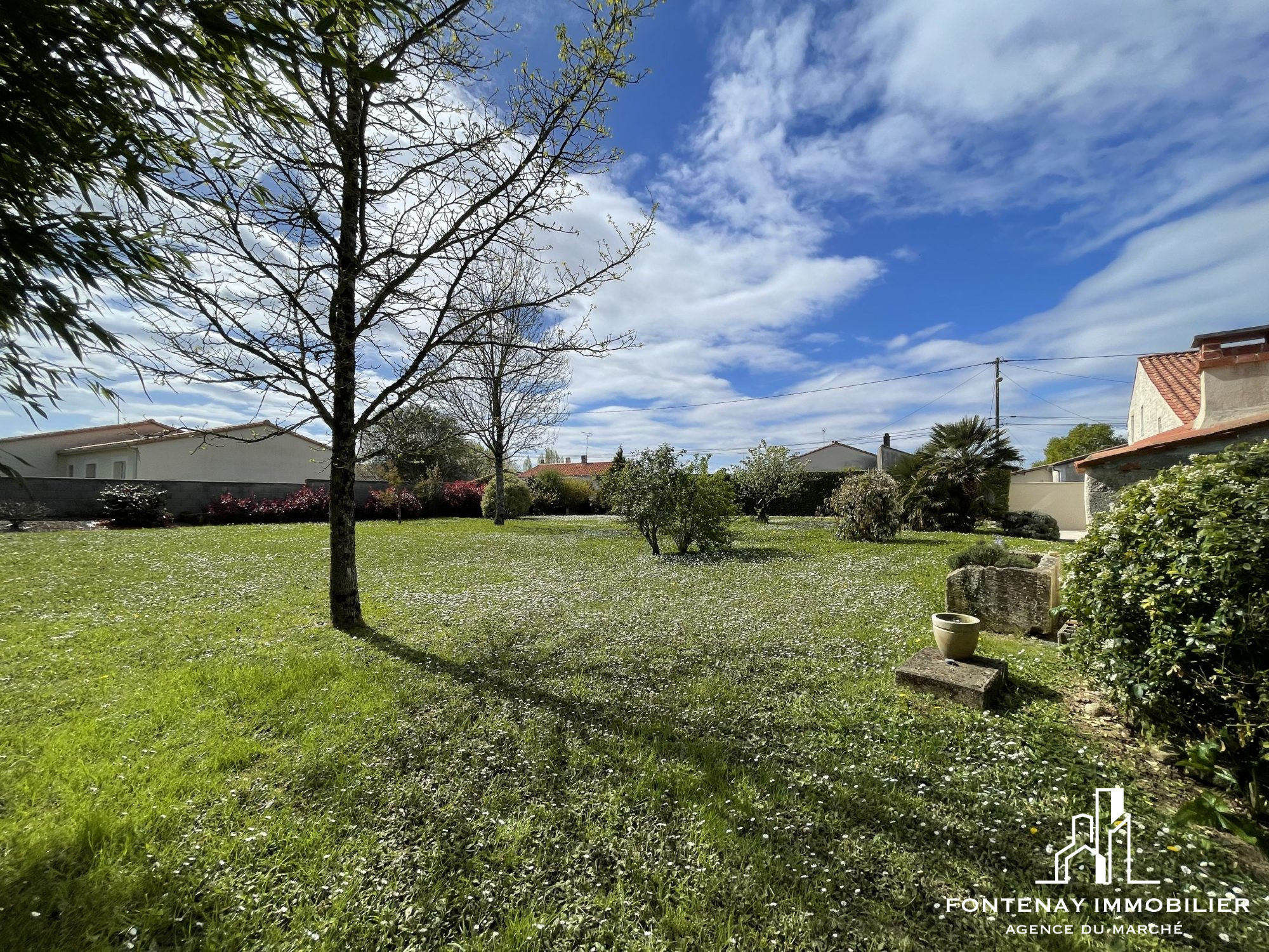 Photo 14 — FONTENAY IMMOBILIER