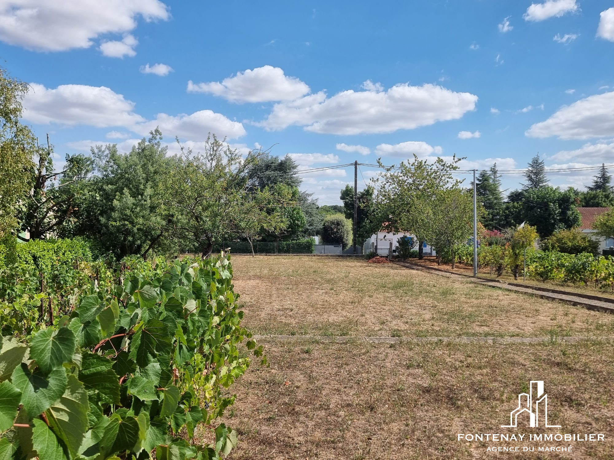 Photo 2 — FONTENAY IMMOBILIER