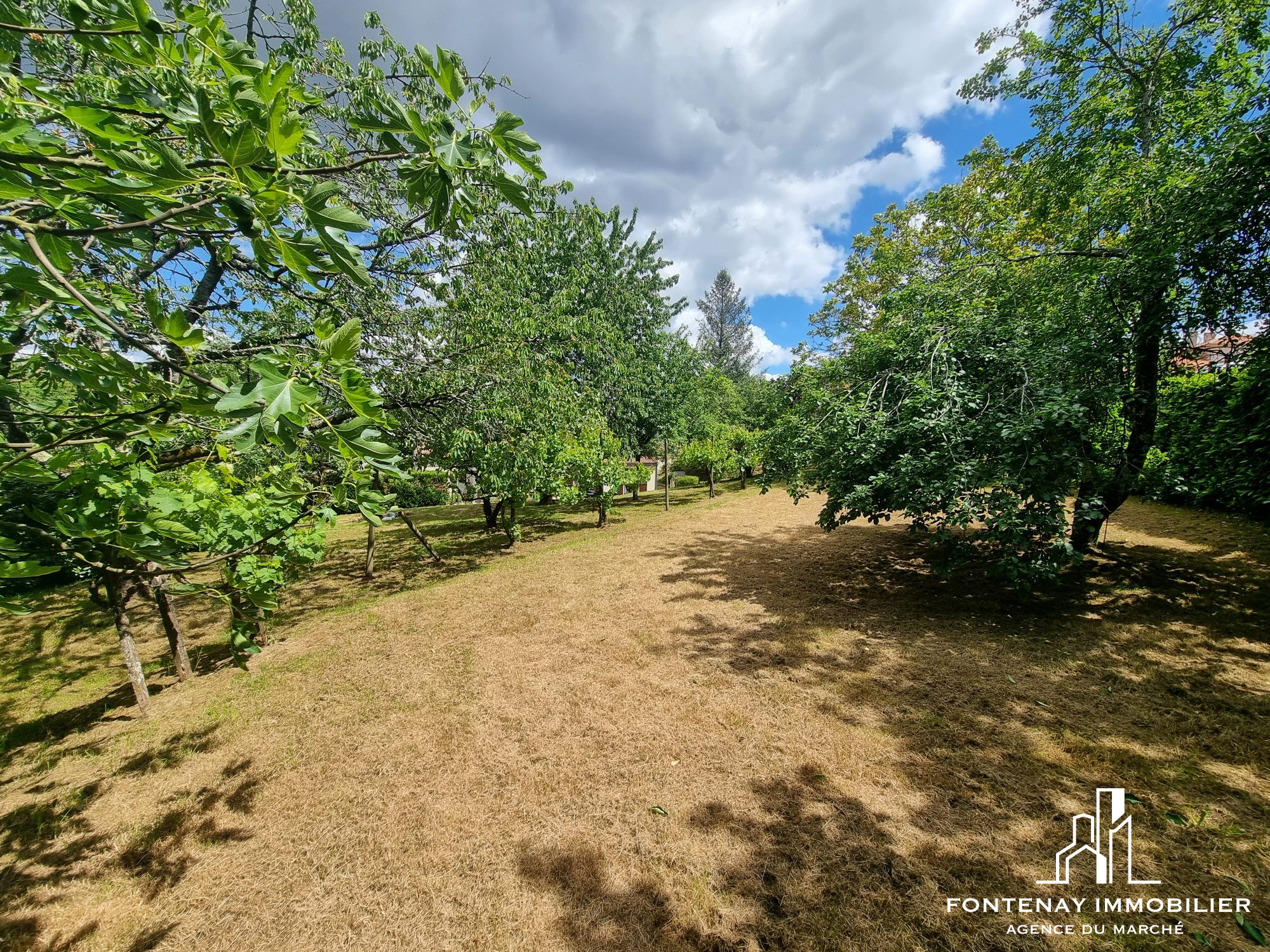 Photo 6 — FONTENAY IMMOBILIER