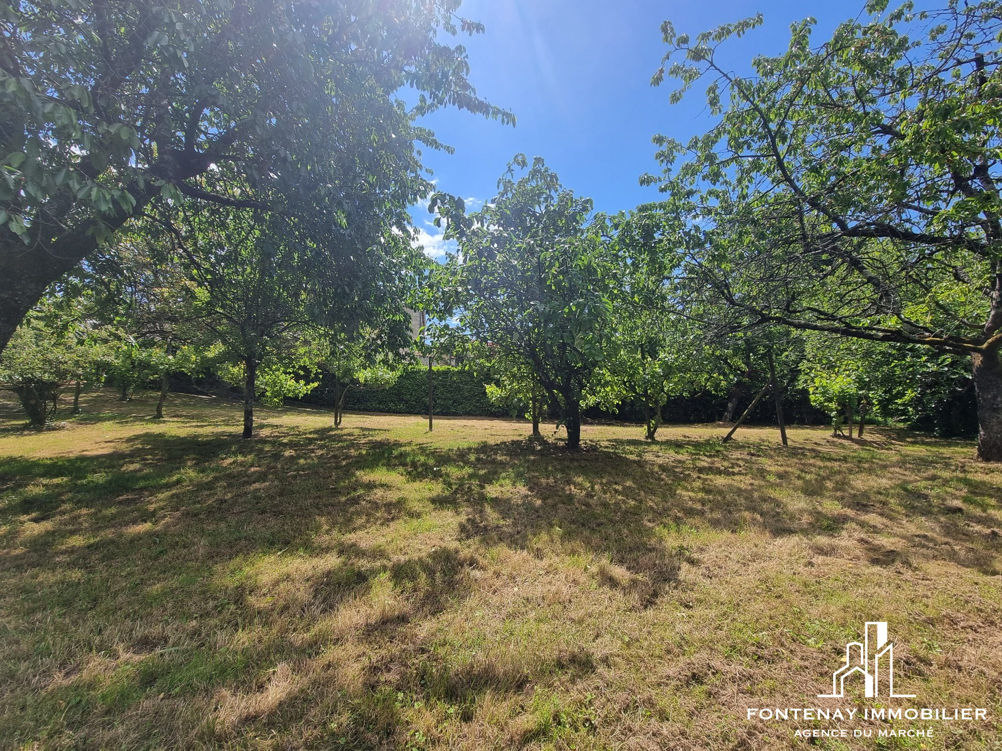 Photo 4 — FONTENAY IMMOBILIER
