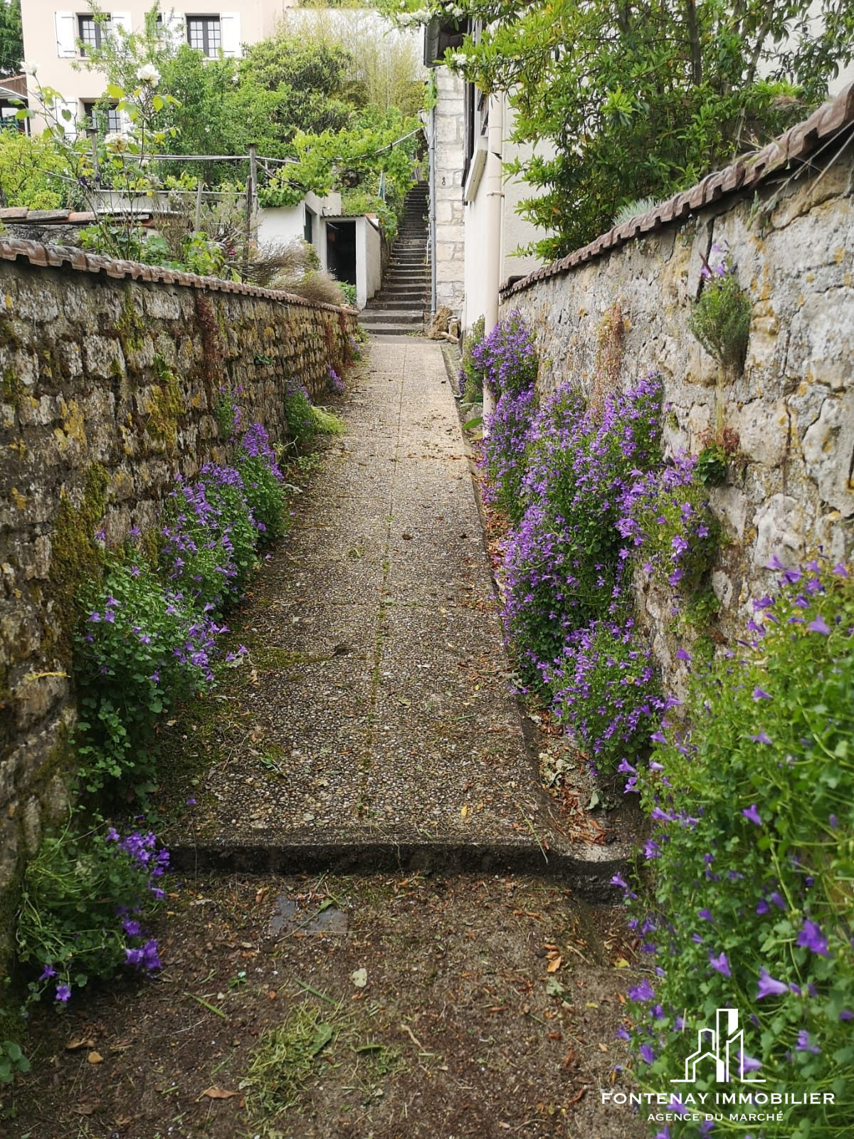 Photo 3 — FONTENAY IMMOBILIER