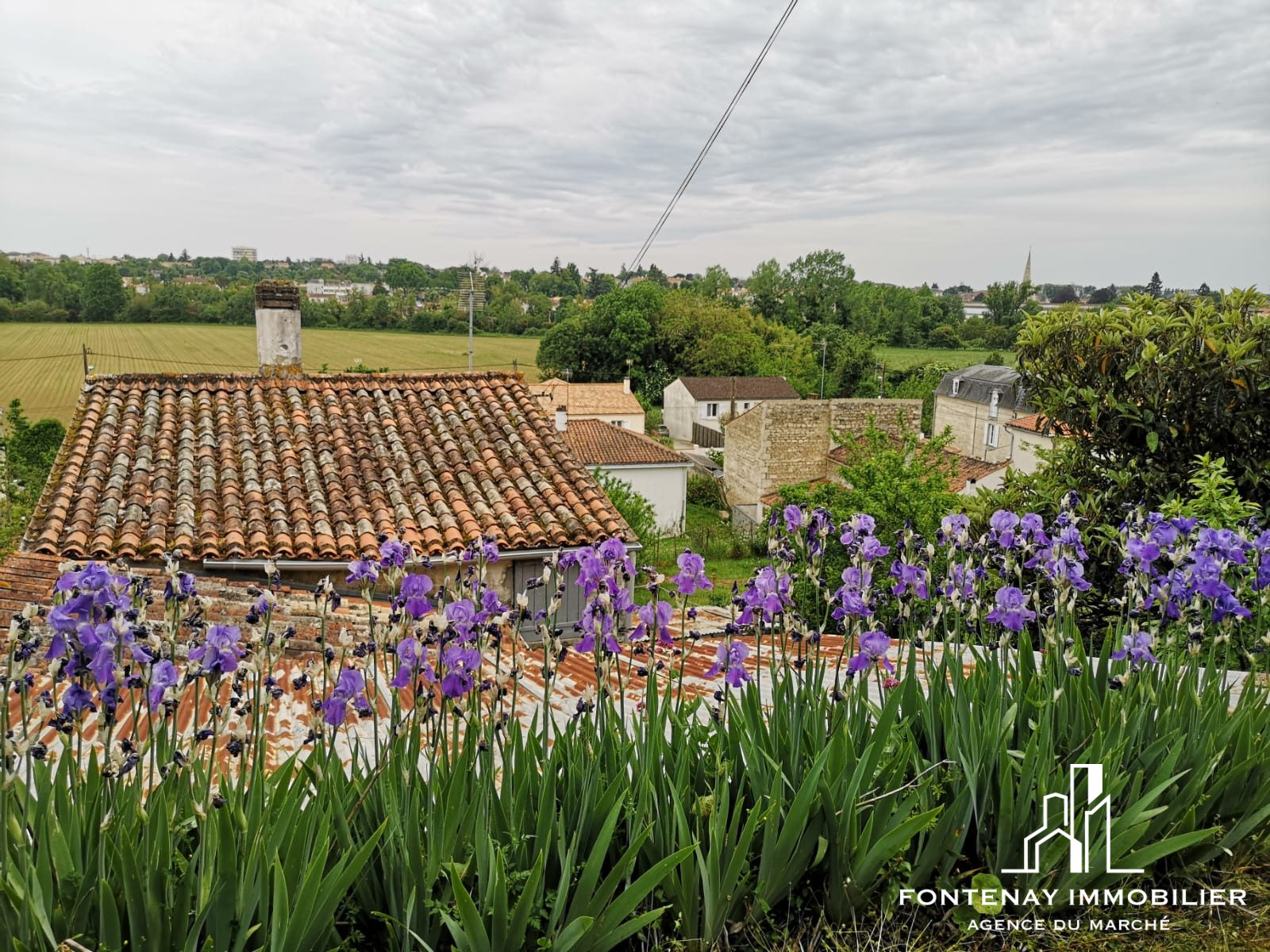Photo 10 — FONTENAY IMMOBILIER