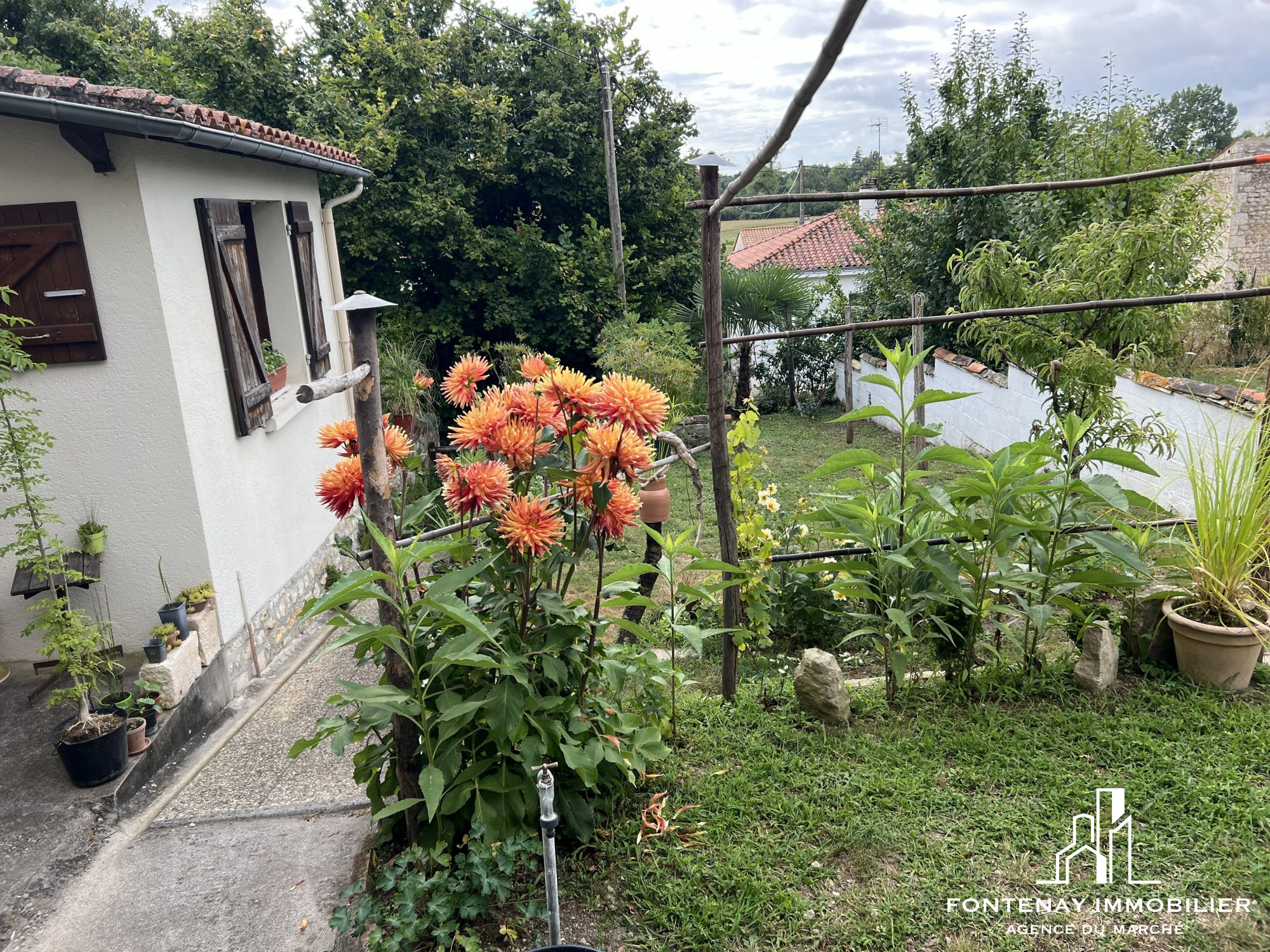 Photo 2 — FONTENAY IMMOBILIER
