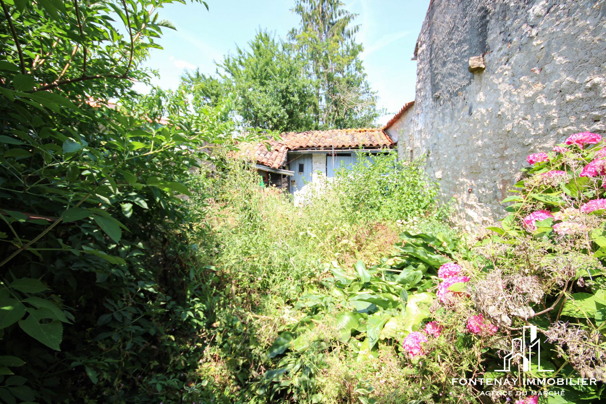 Photo 13 — FONTENAY IMMOBILIER