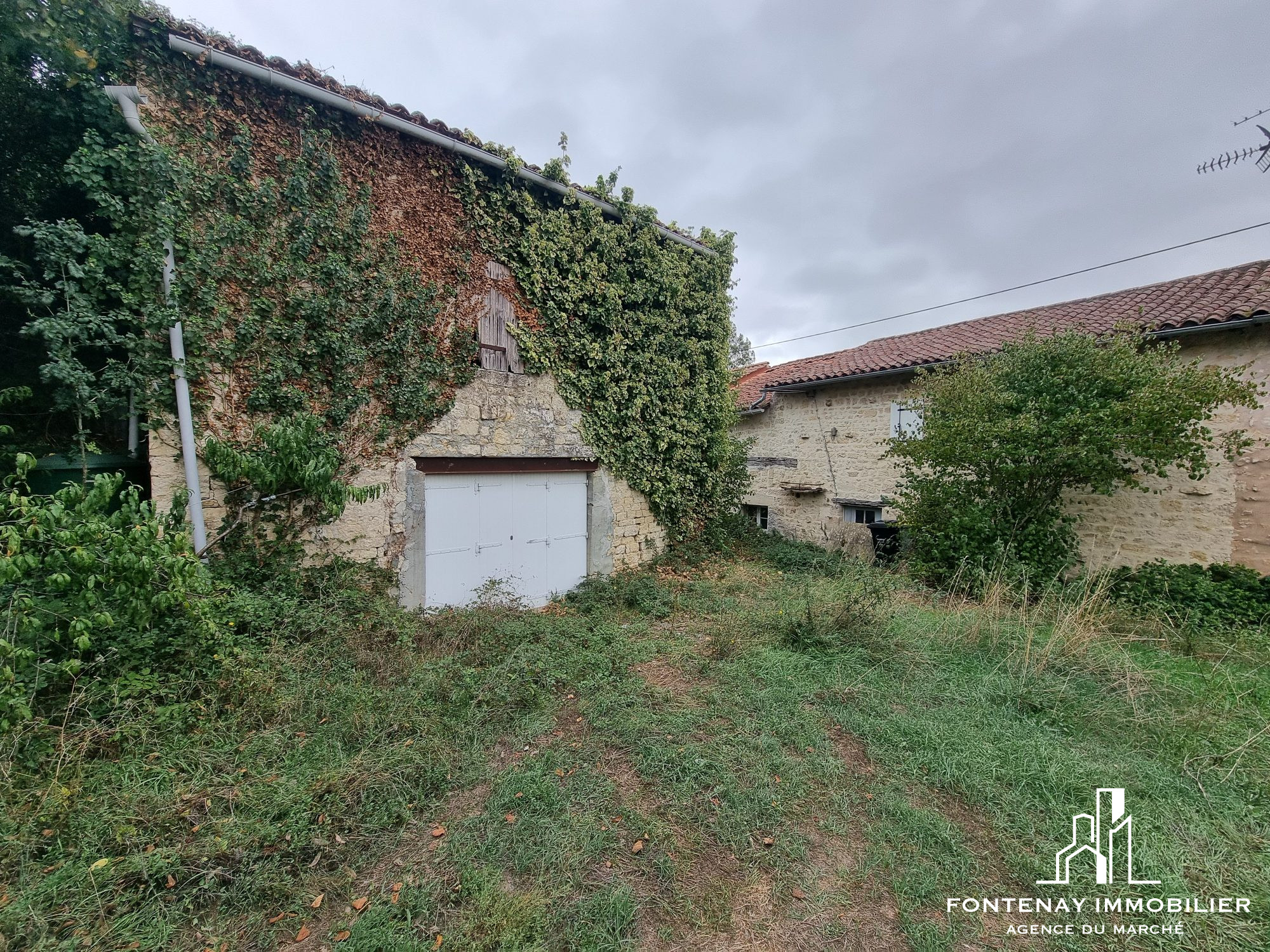 Photo 2 — FONTENAY IMMOBILIER
