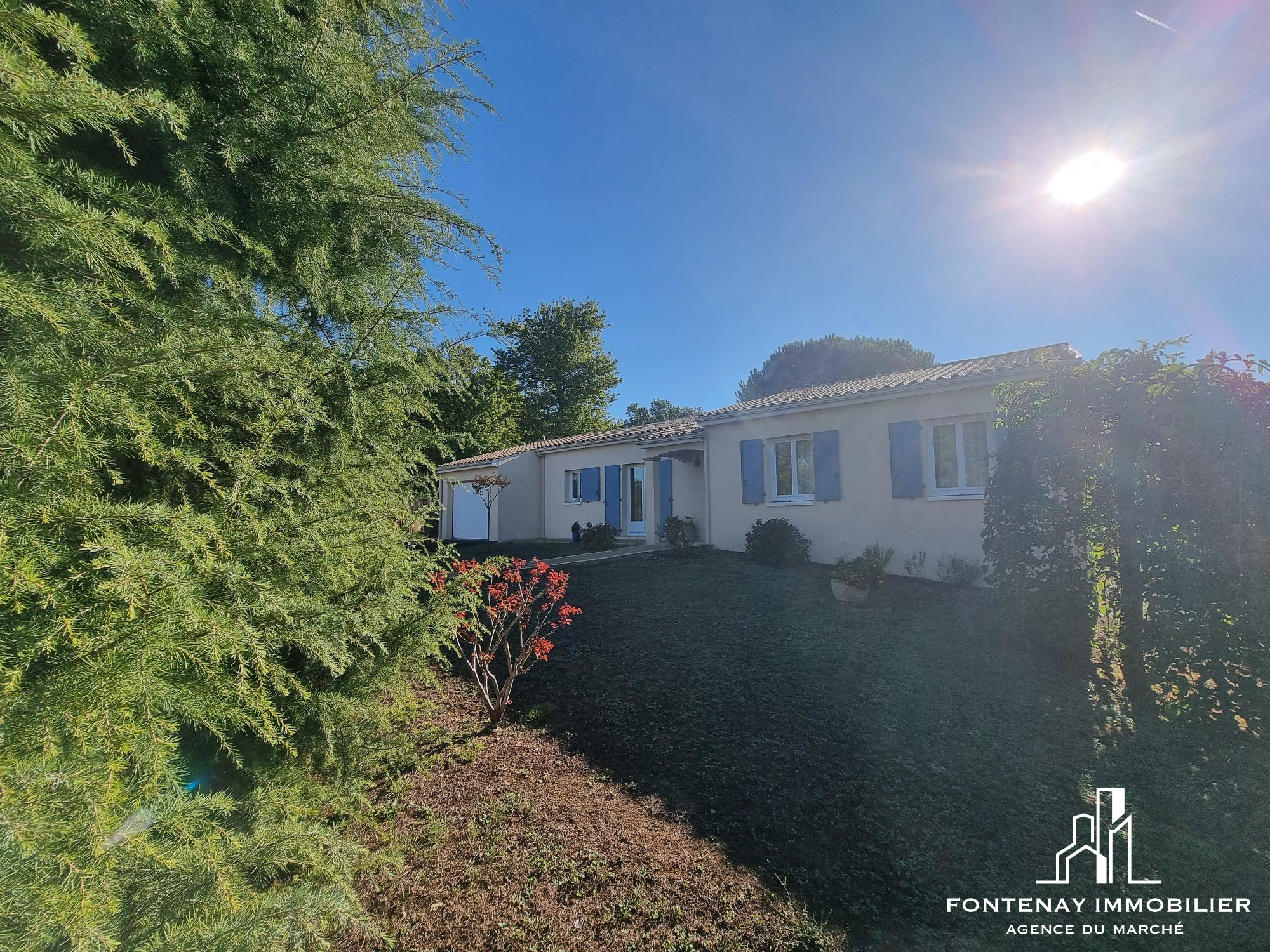 Photo 3 — FONTENAY IMMOBILIER