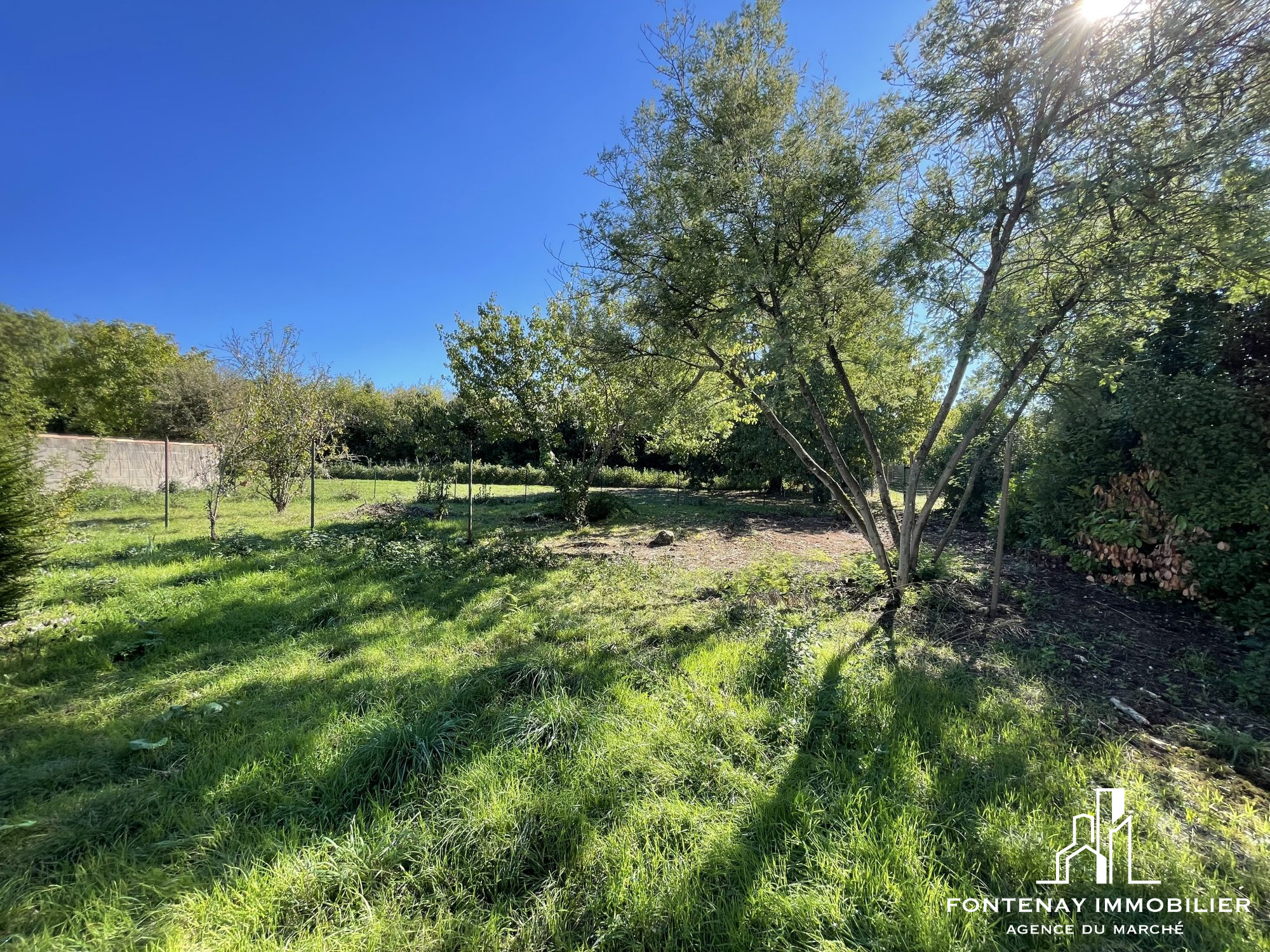 Photo 3 — FONTENAY IMMOBILIER