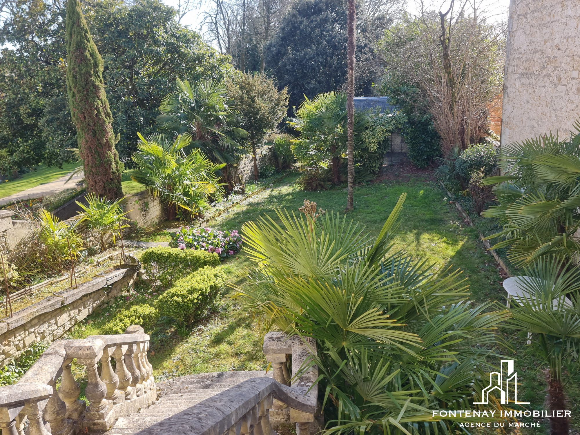 Photo 3 — FONTENAY IMMOBILIER