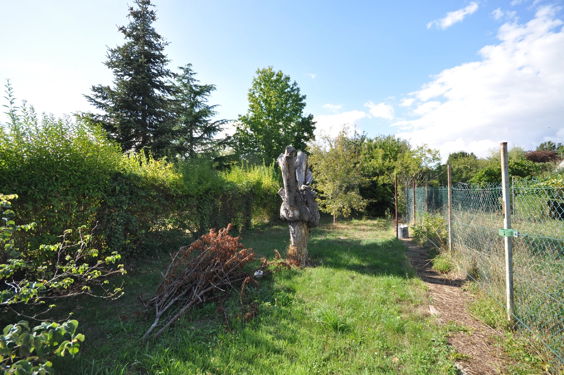 Photo 3 — ASF IMMOBILIER - Boissy