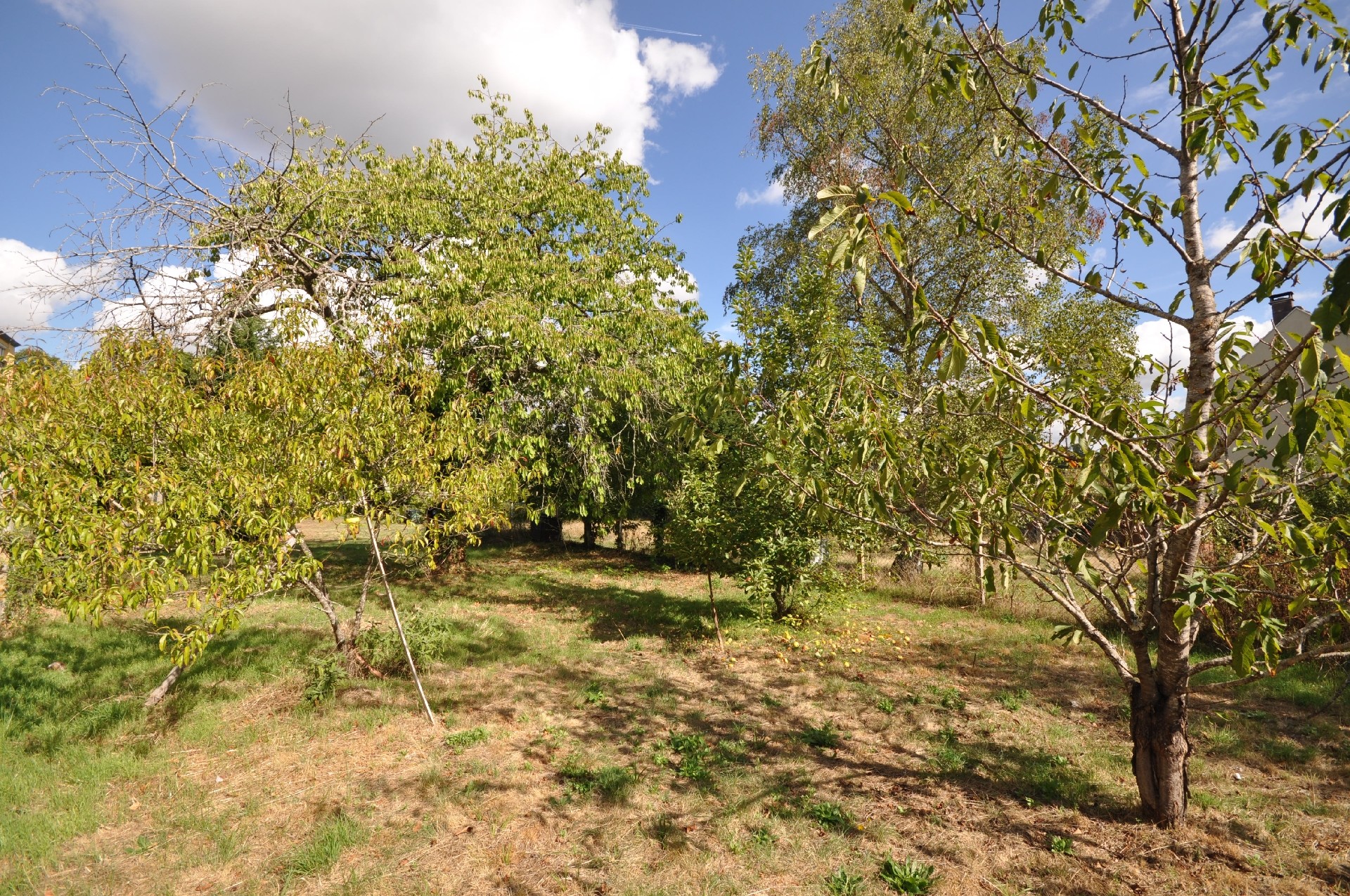 Photo 2 — ASF IMMOBILIER - Boissy