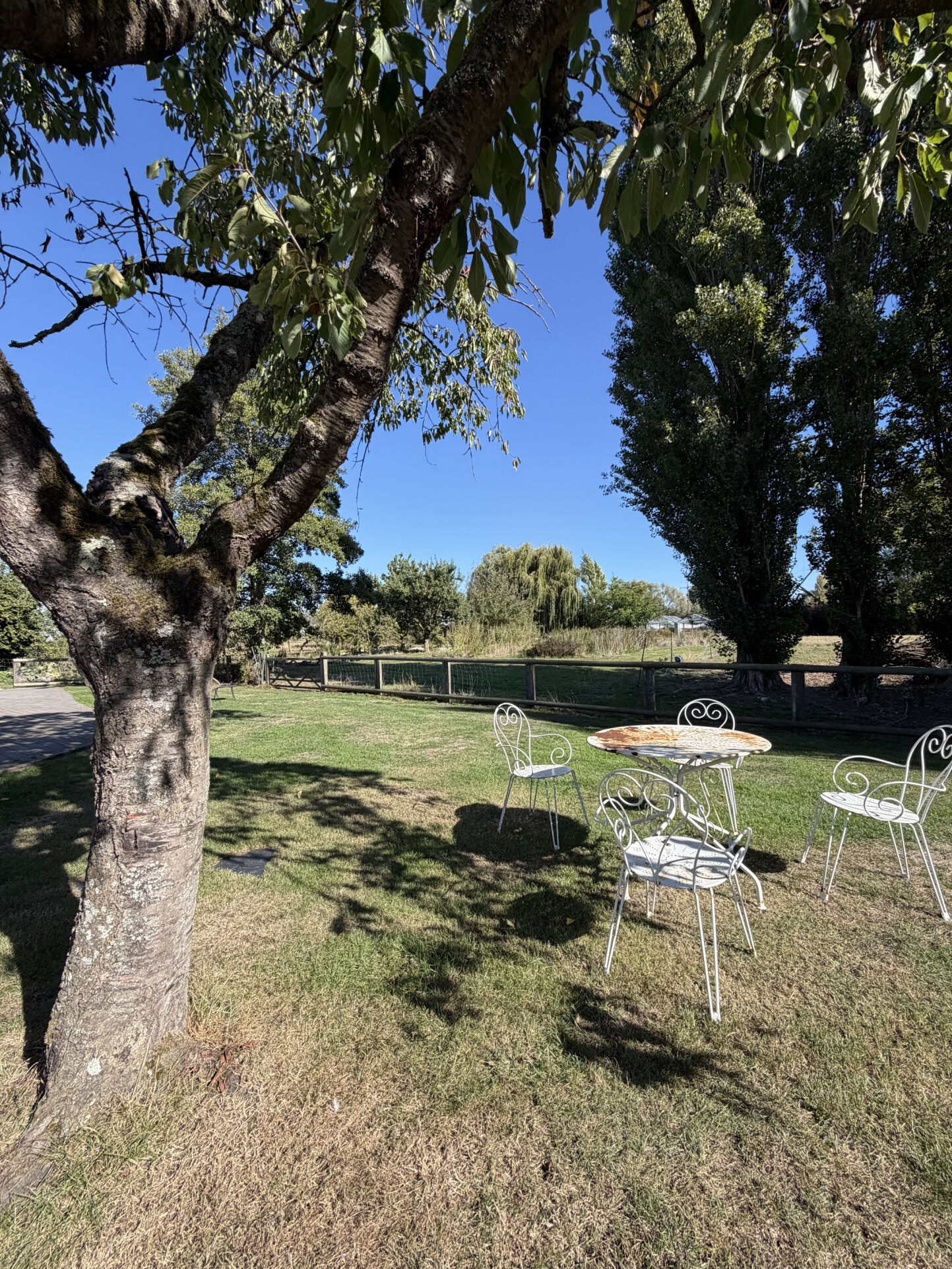 Photo 7 — LC IMMOBILIER
