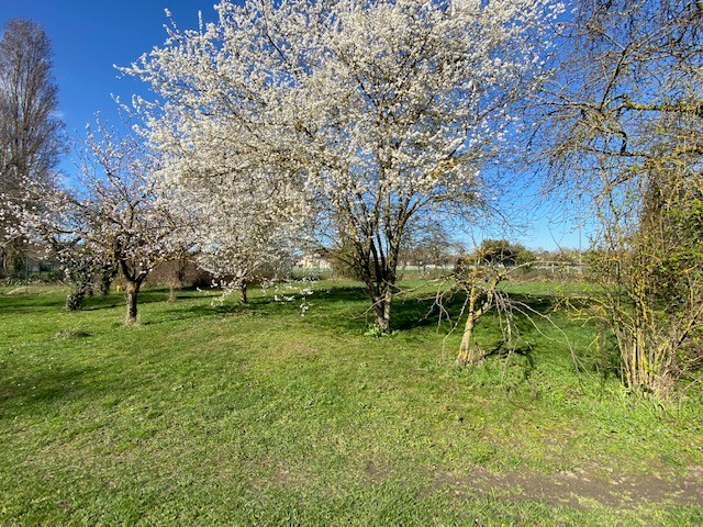 Photo 3 — VENDEZ VOTRE MAISON