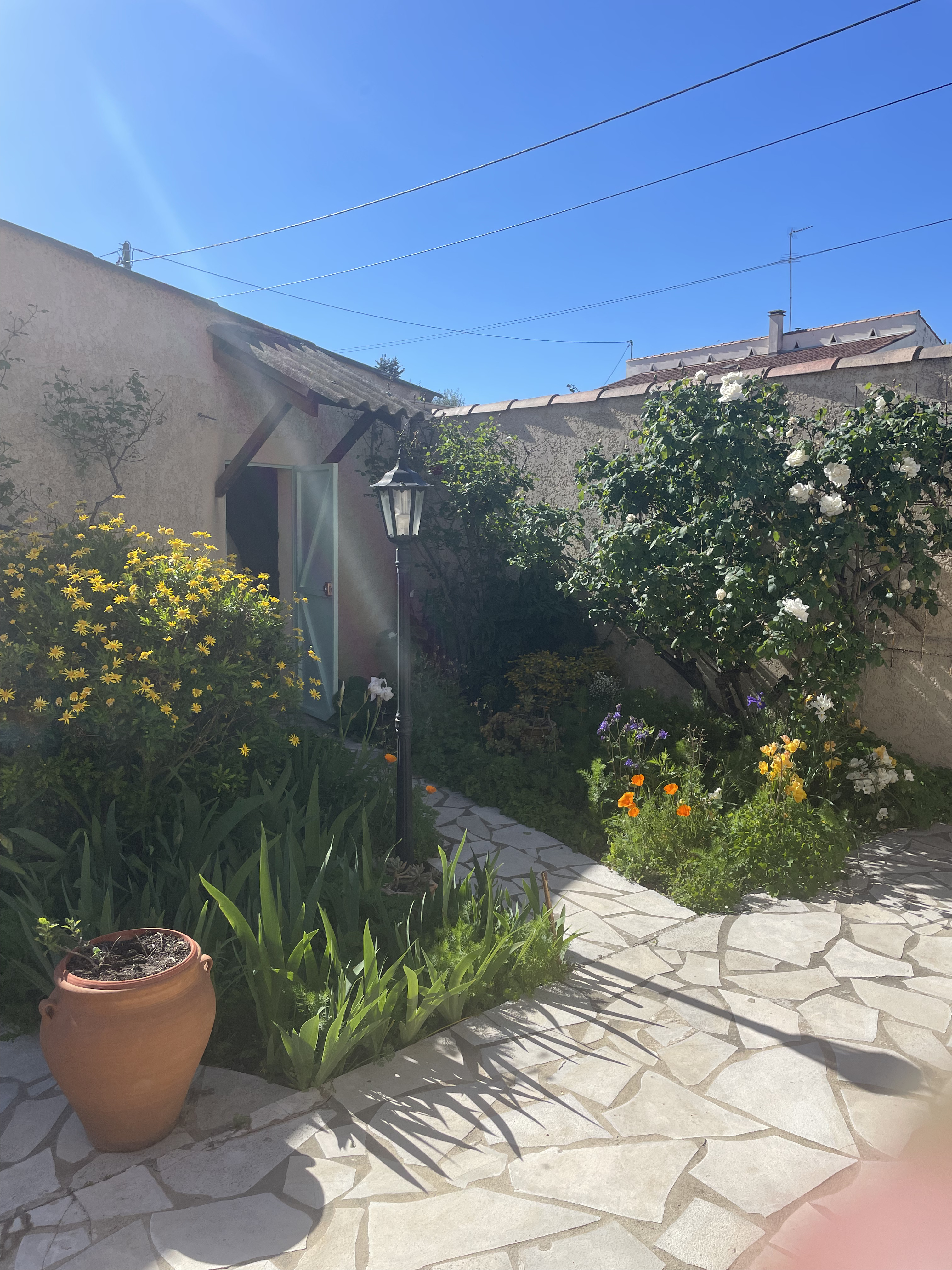Photo 17 — AGENCIMMO