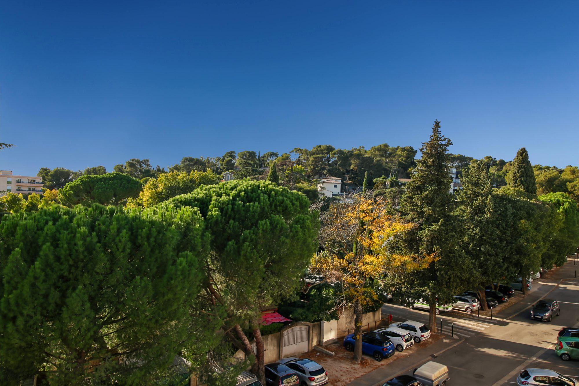 Photo 14 — AGENCIMMO