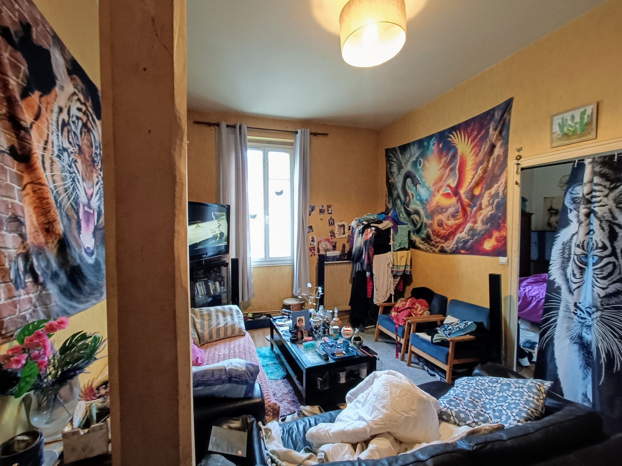 Photo 7 — AGENCIMMO