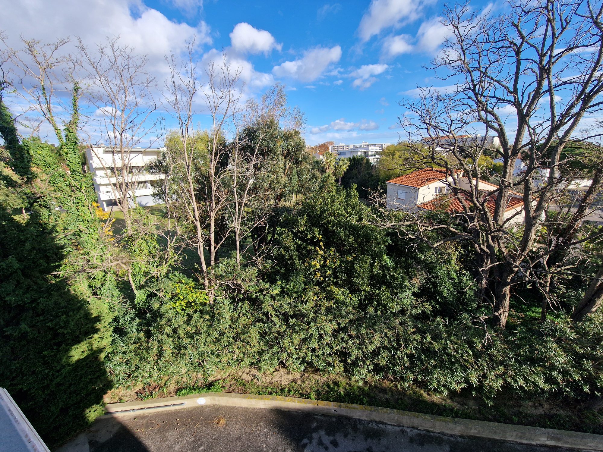 Photo 2 — AGENCIMMO