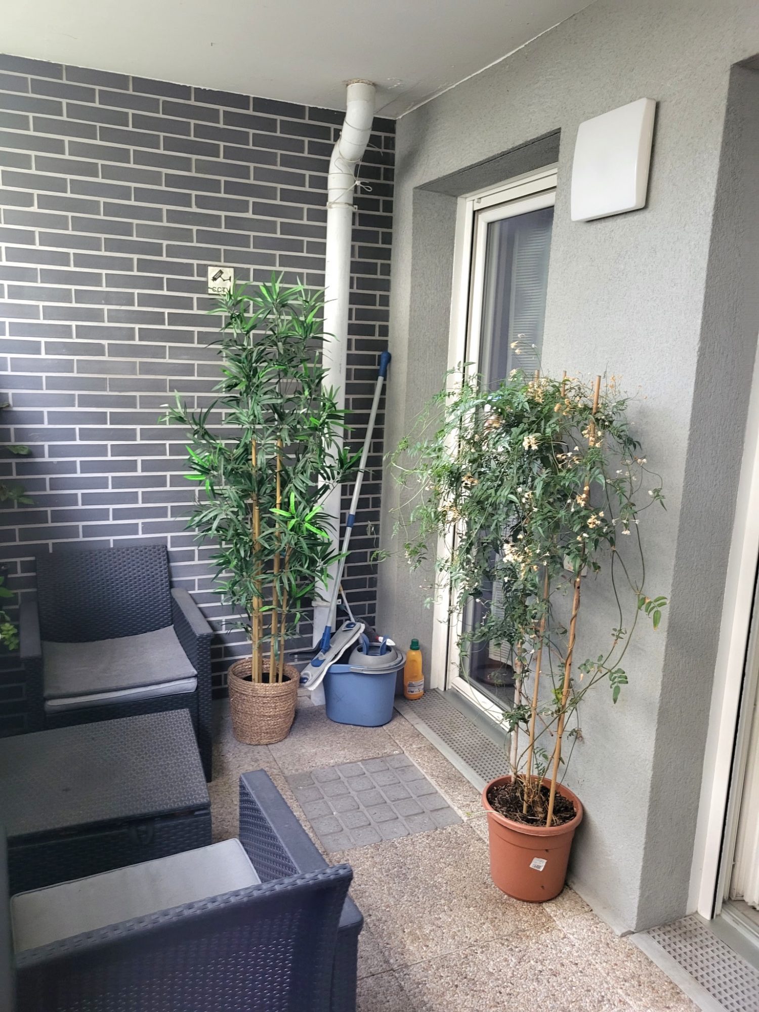 Photo 2 — AGENCIMMO