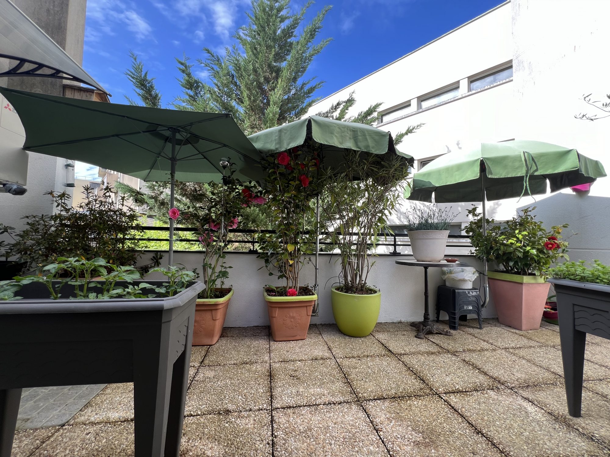 Photo 2 — AGENCIMMO