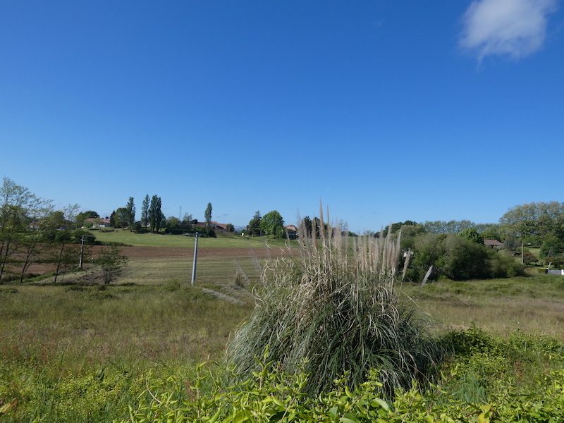 Photo 8 — AGENCIMMO