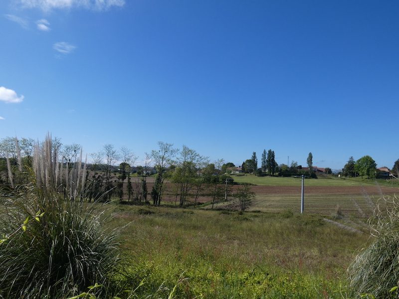 Photo 24 — AGENCIMMO